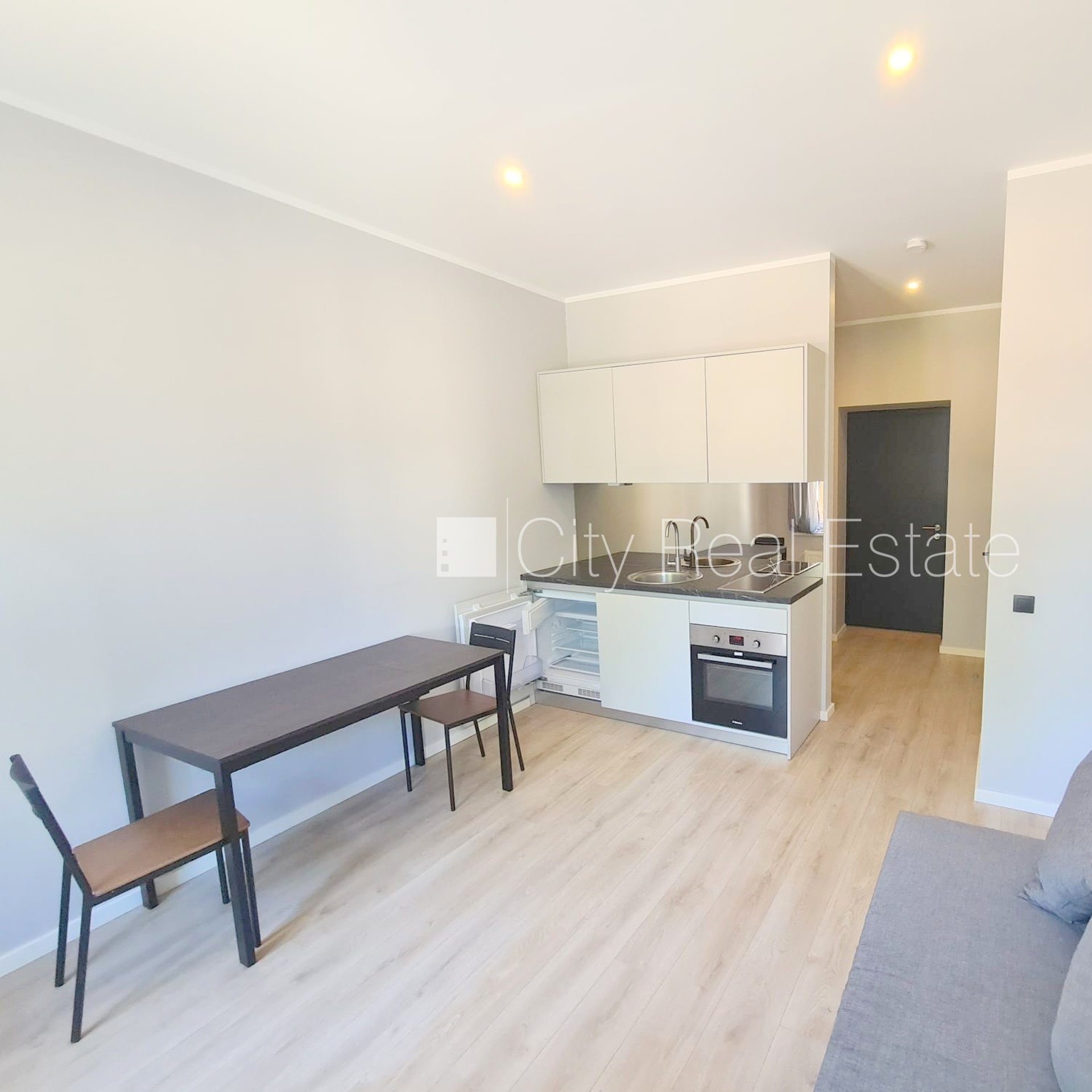 1 istabu dzīvoklis Rīga, Centrs, 22 m², izīrē, Foto 1 no 10