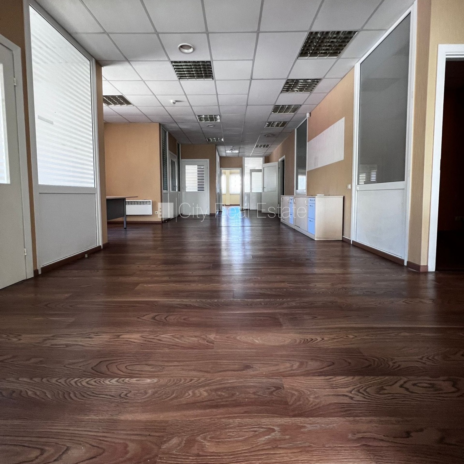 Äripind Rīga, Centrs, 220 m², üür, Foto 3 / 9