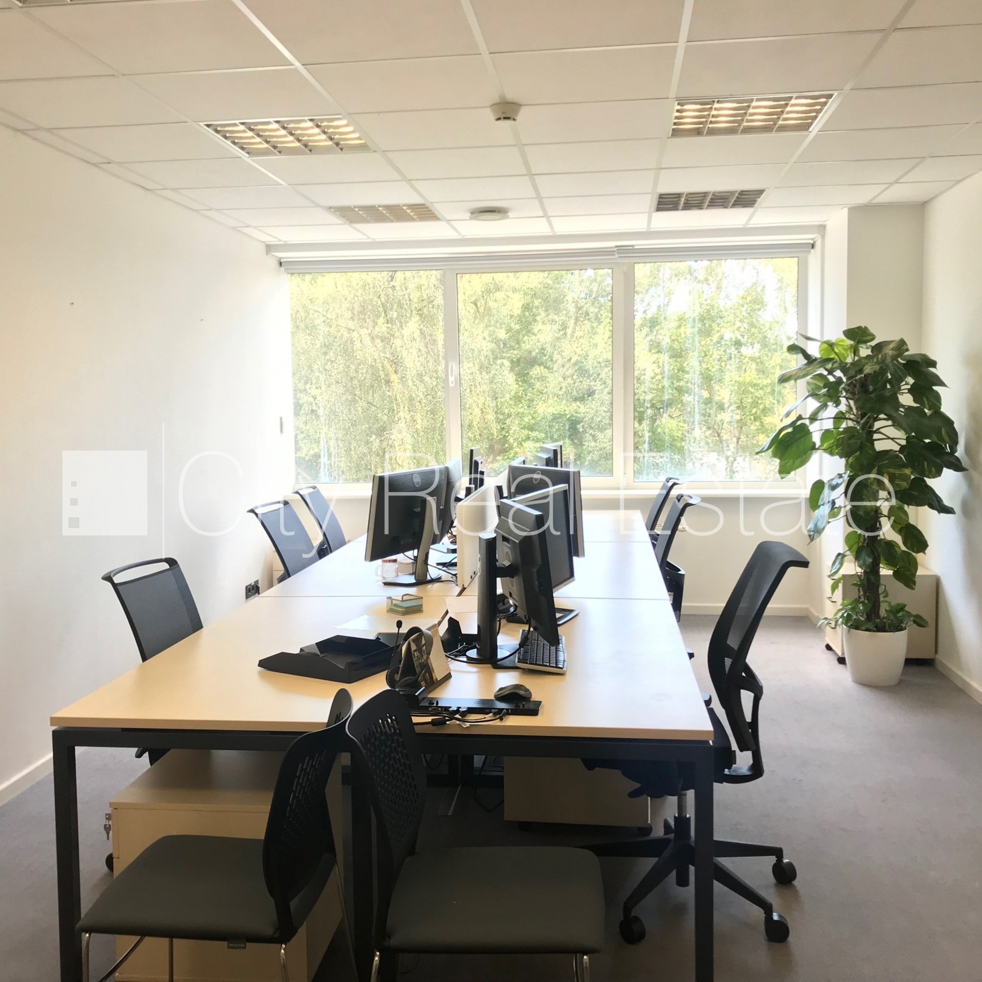 Äripind Rīga, Purvciems, 257 m², üür, Foto 8 / 10