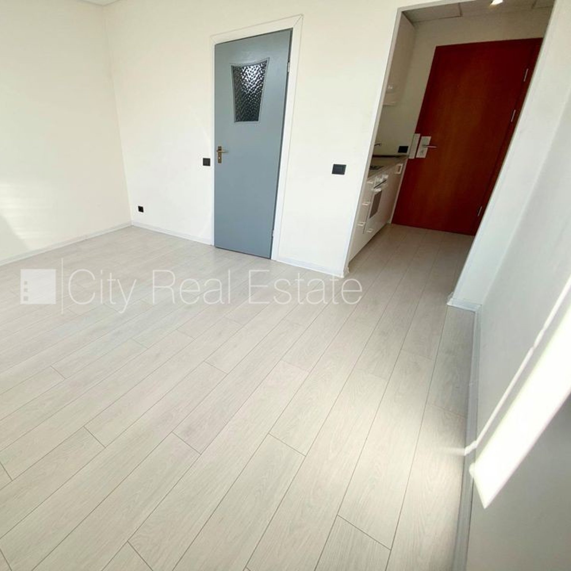 1 kambarių butas Rīga, Centrs, 24 m², nuomojamas, Nuotrauka 3 iš 10