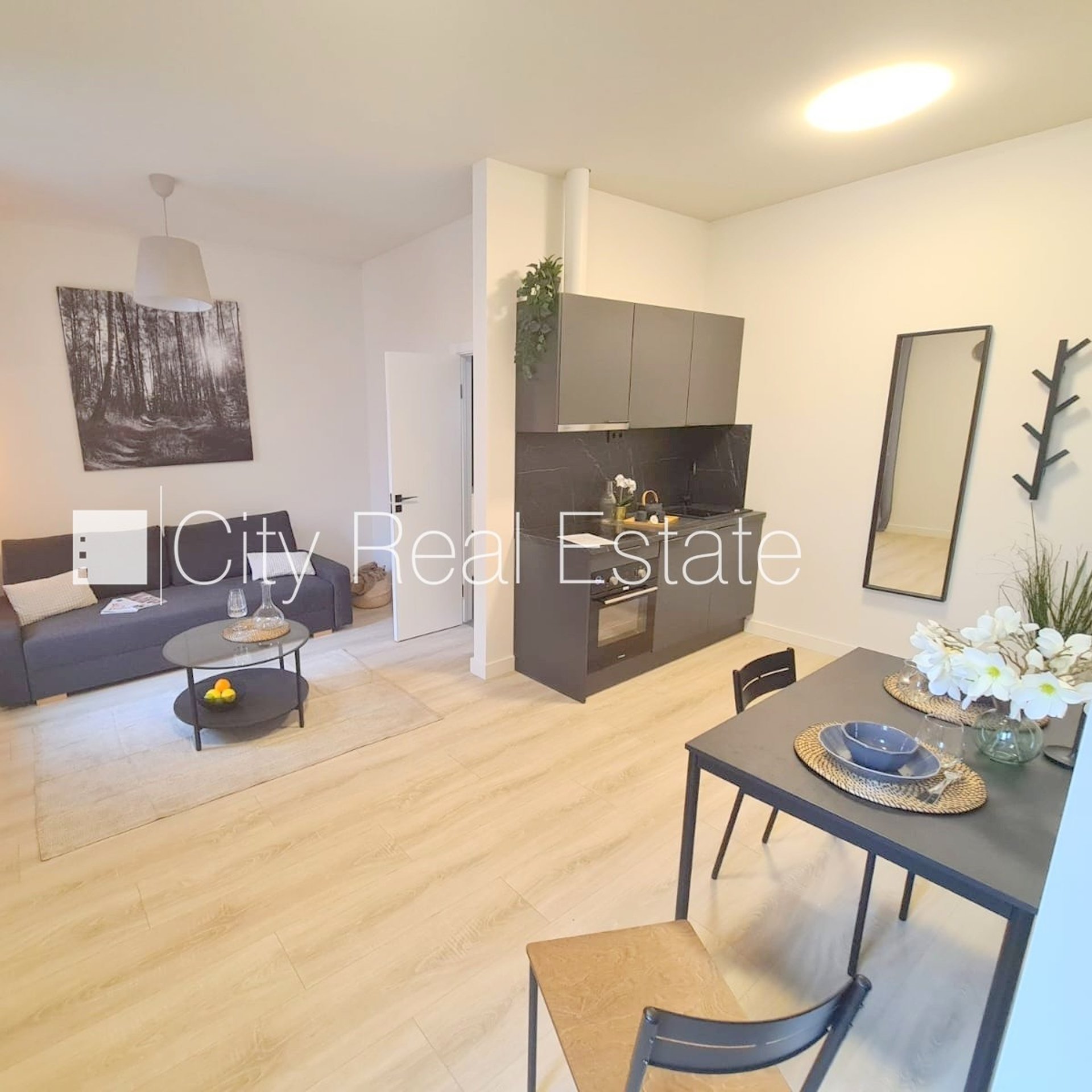 1 kambarių butas Rīga, Centrs, 26 m², nuomojamas, Nuotrauka 1 iš 10