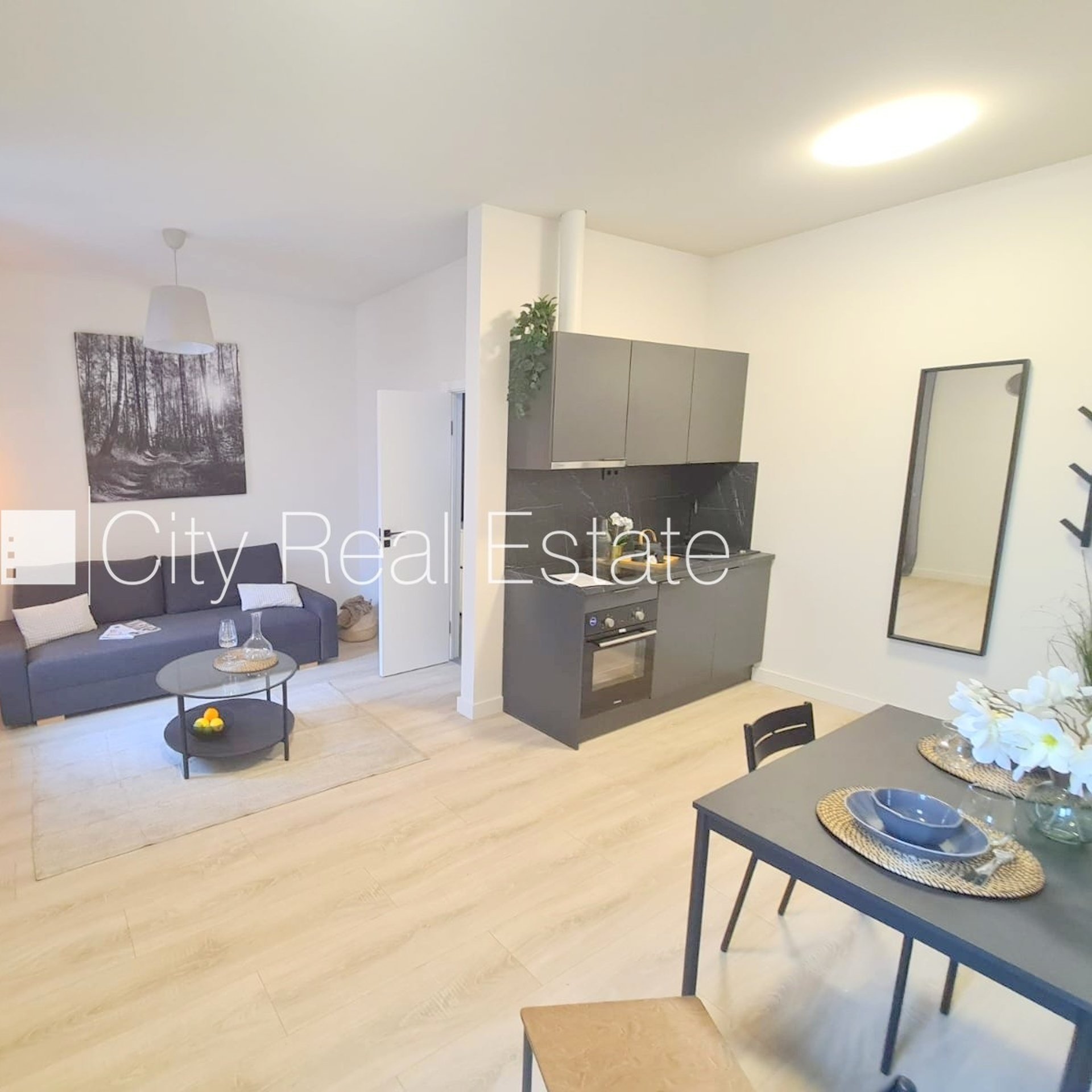 1 kambarių butas Rīga, Centrs, 26 m², nuomojamas, Nuotrauka 2 iš 10