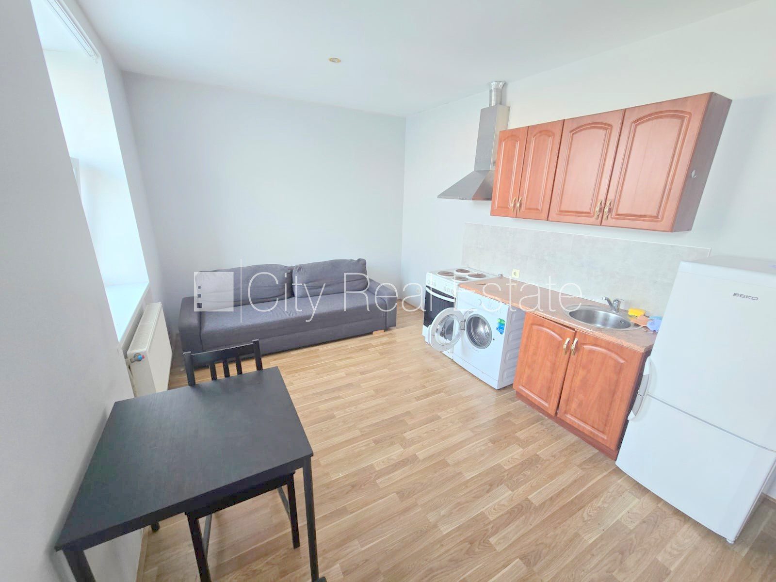 1-комнатная квартира в Рига, Центр, 20 м², аренда, Фото 3 из 10