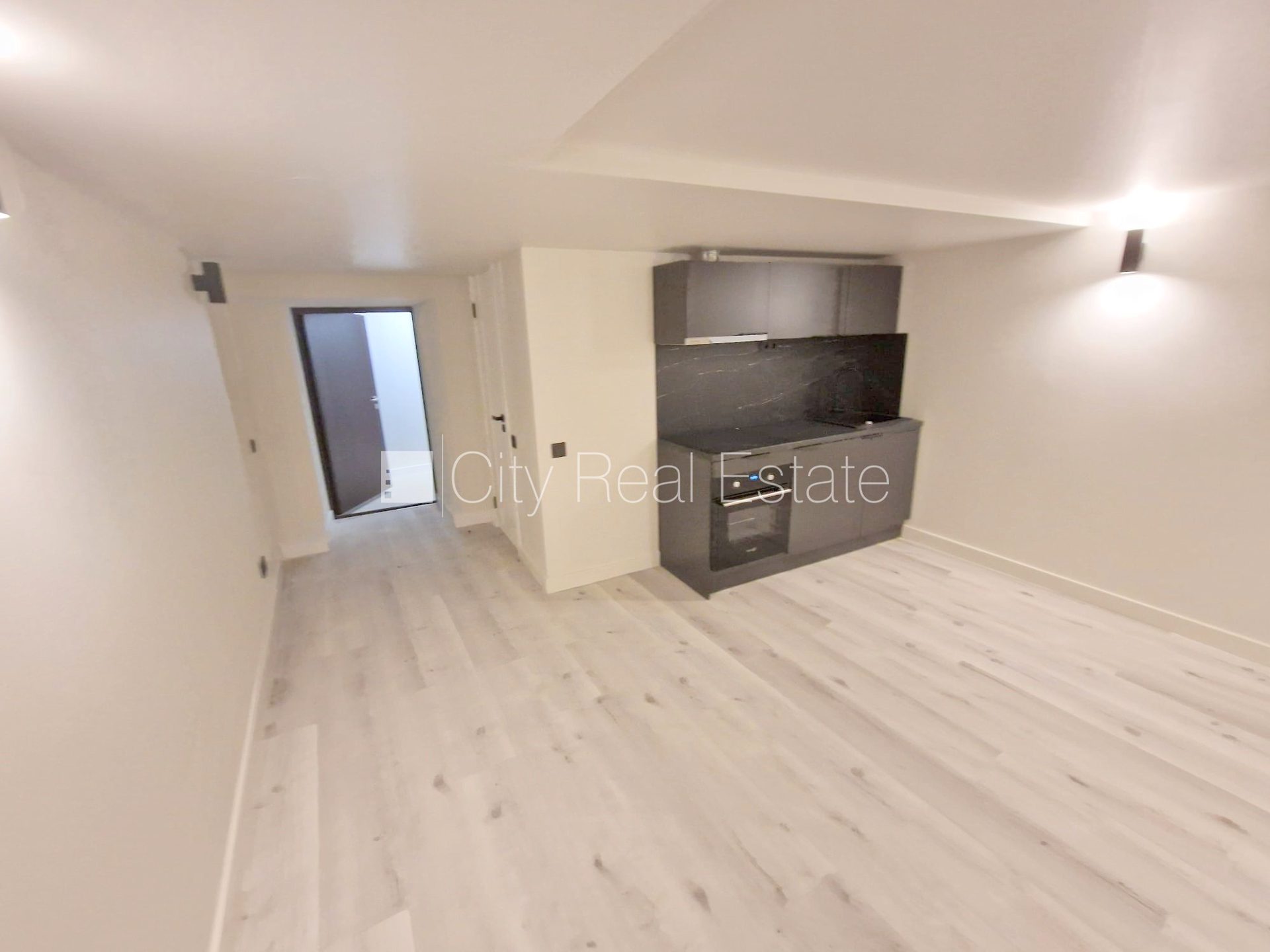 1-toaline korter Rīga, Centrs, 23 m², üür, Foto 2 / 10