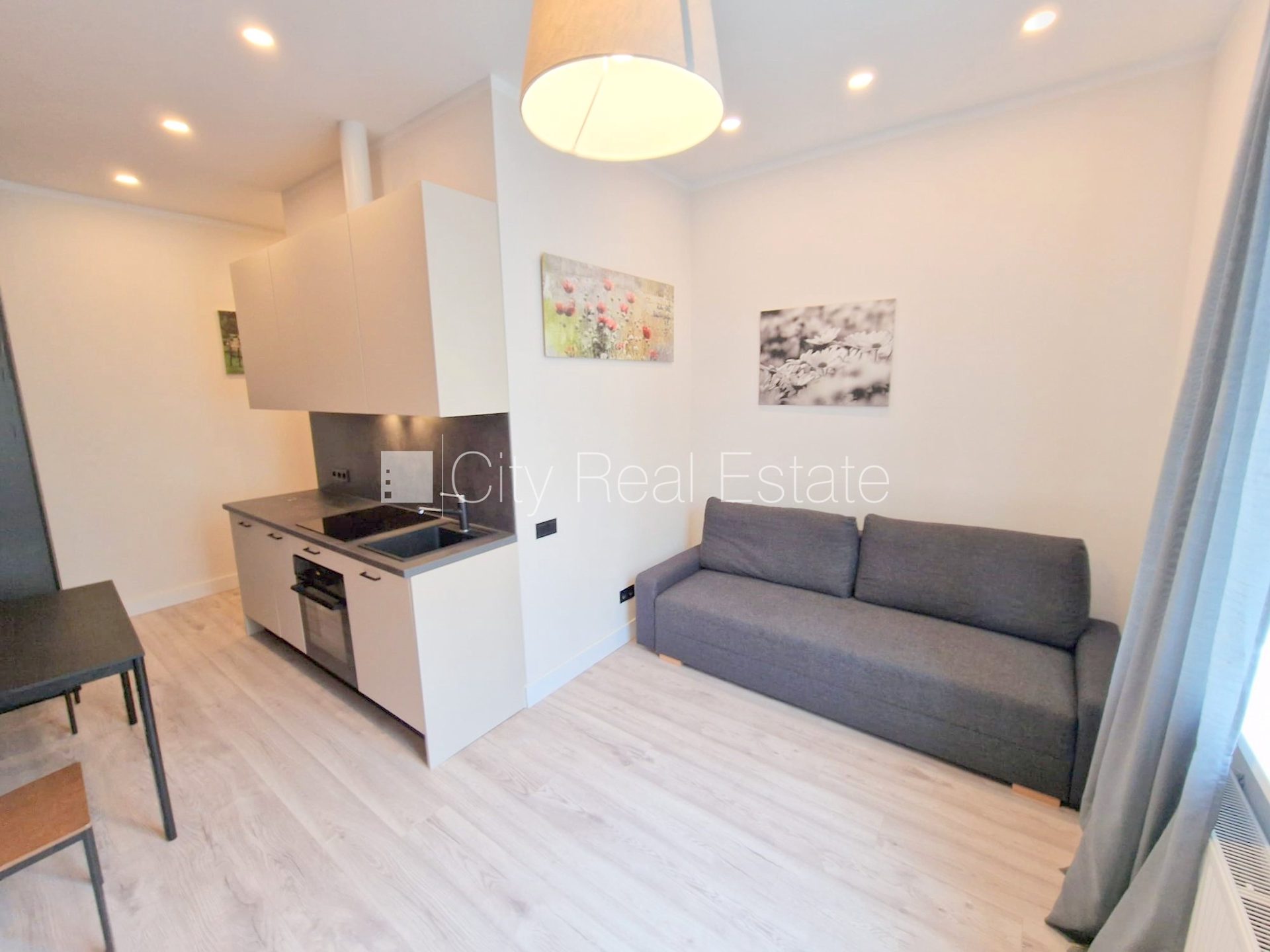 1 istabu dzīvoklis Rīga, Centrs, 28 m², izīrē, Foto 2 no 10