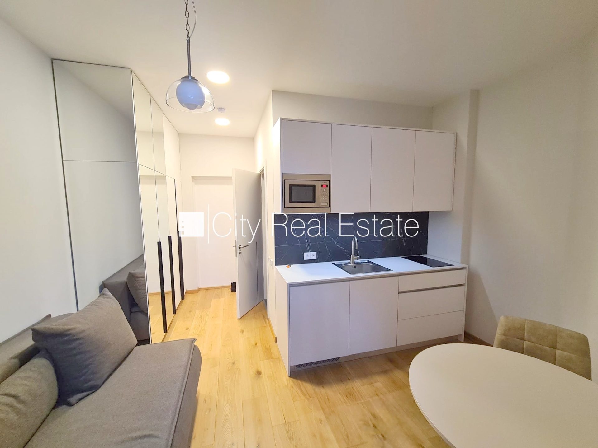 1-комнатная квартира в Рига, Центр, 19 м², аренда, Фото 1 из 10