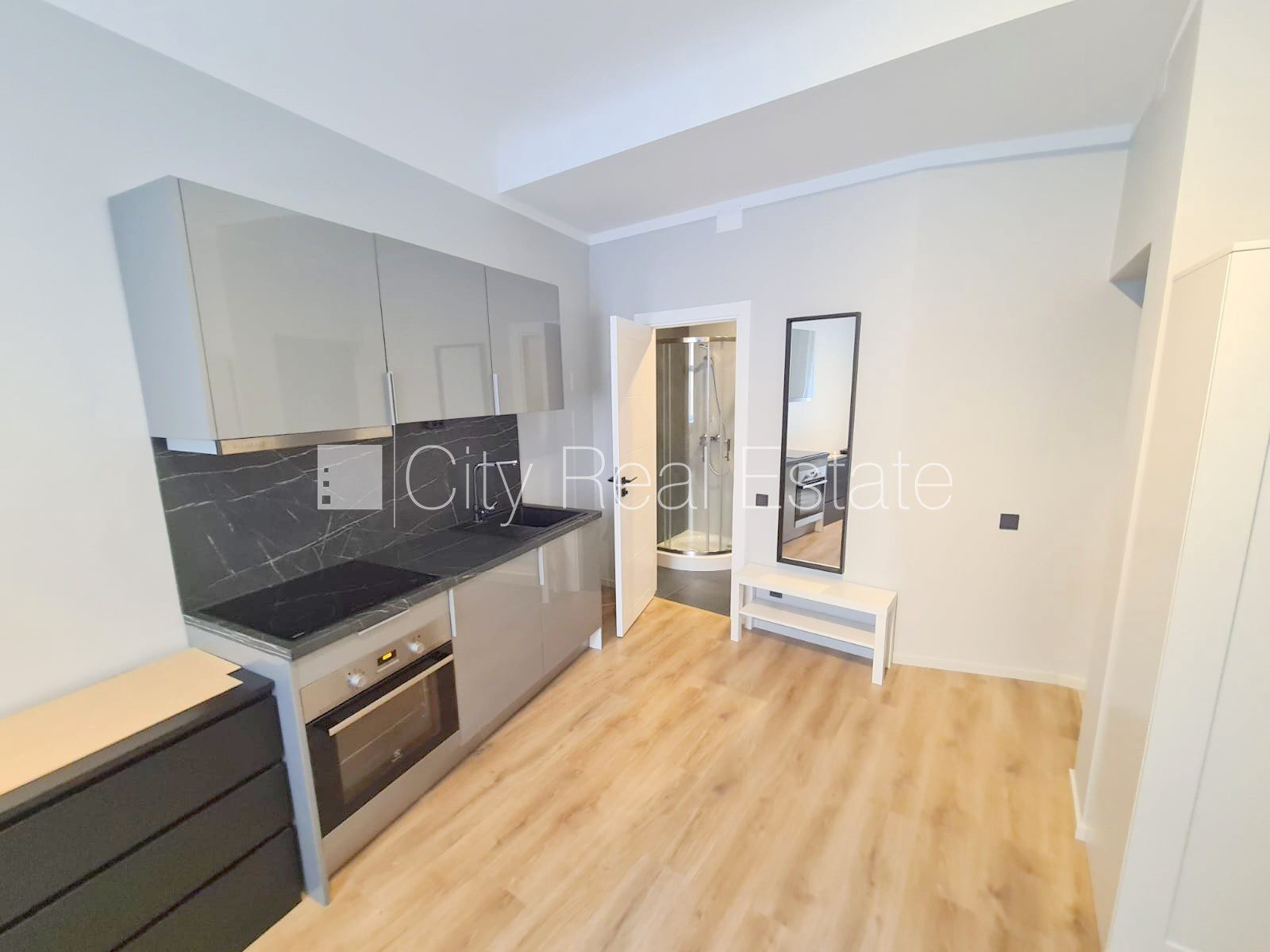 1-room apartment for rent in Riga, City Centre, 21 m², Photo 2 of 10