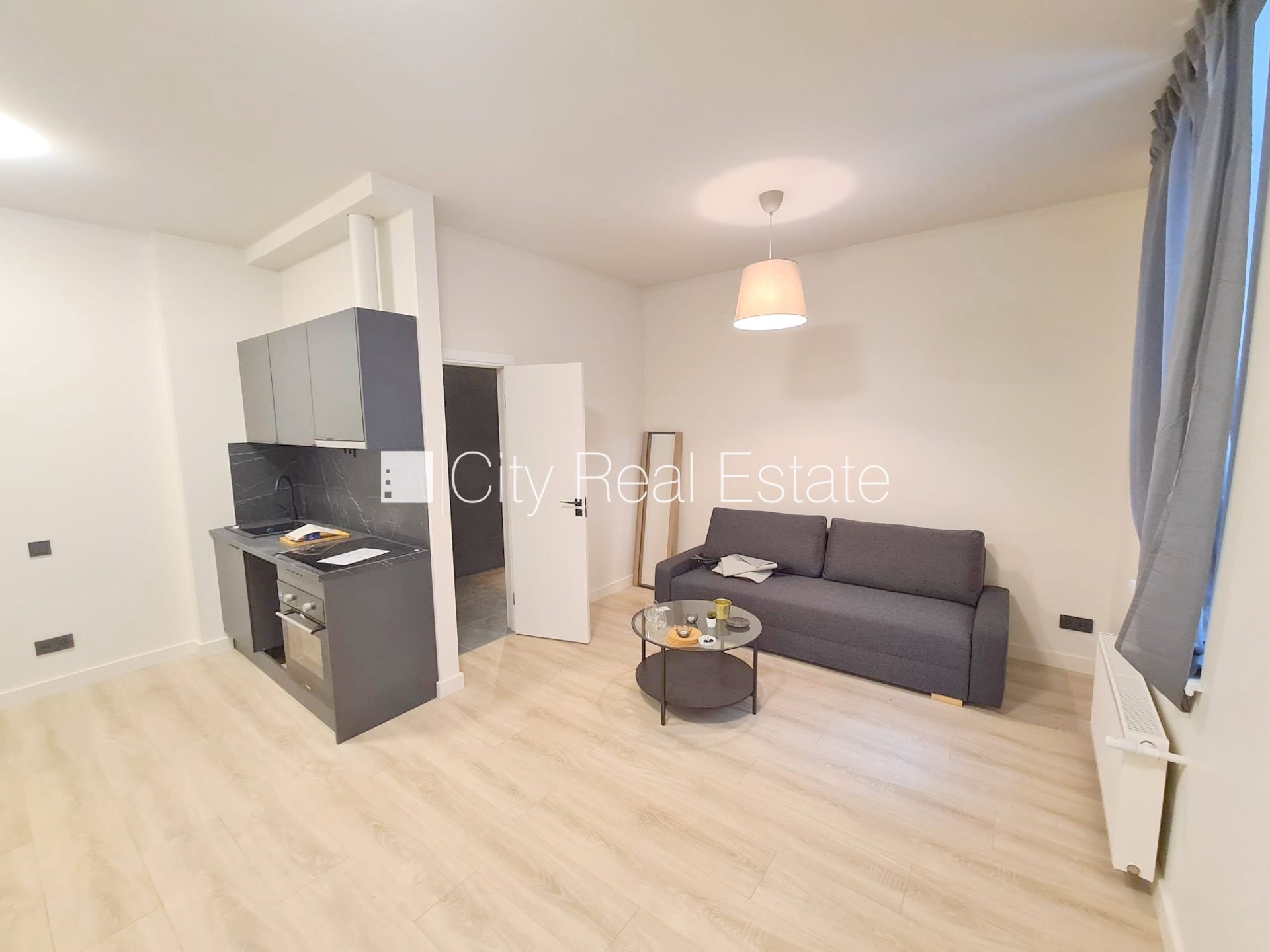 1-комнатная квартира в Рига, Центр, 25 м², аренда, Фото 1 из 10