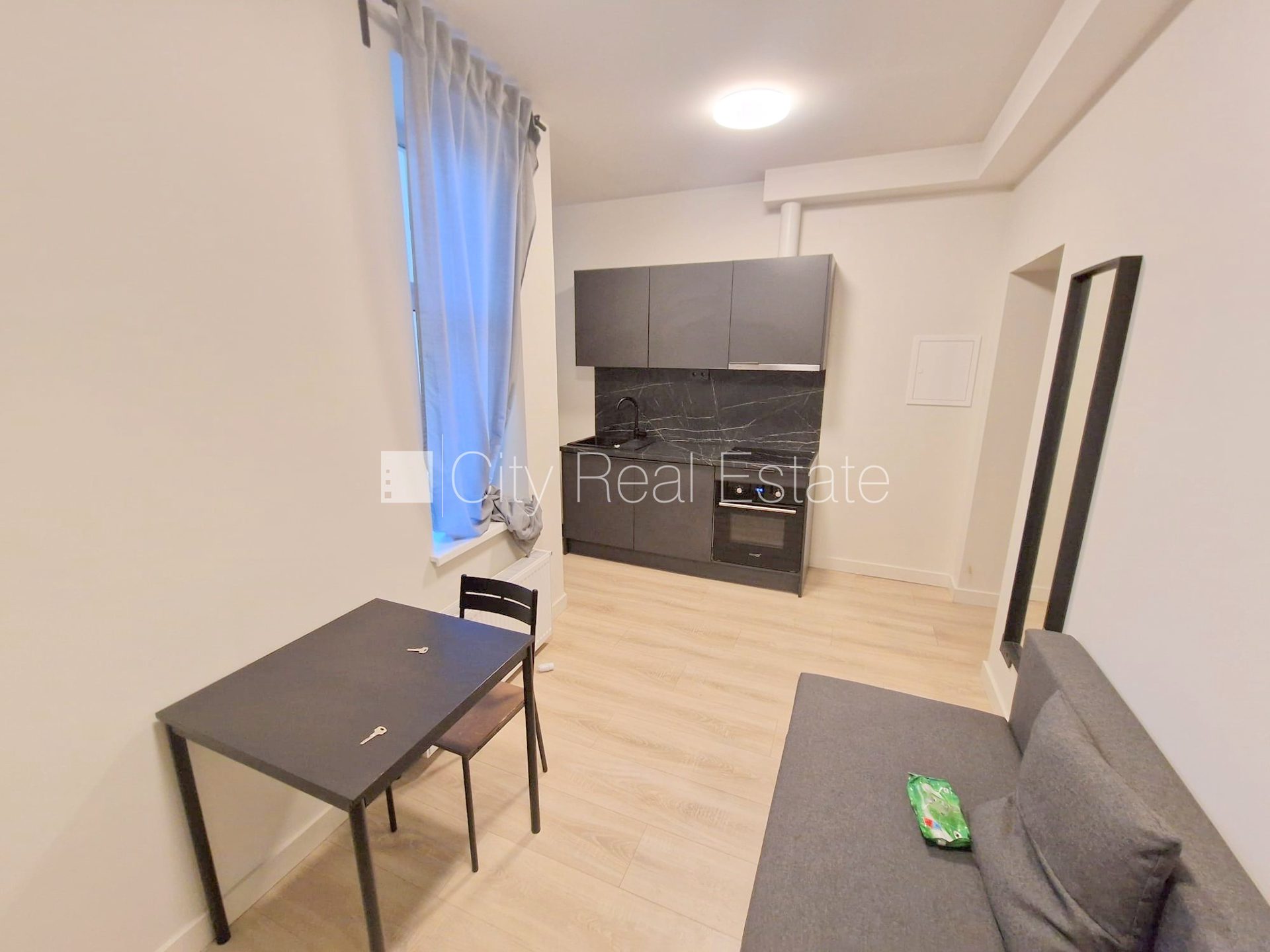1 istabu dzīvoklis Rīga, Centrs, 17 m², izīrē, Foto 1 no 10