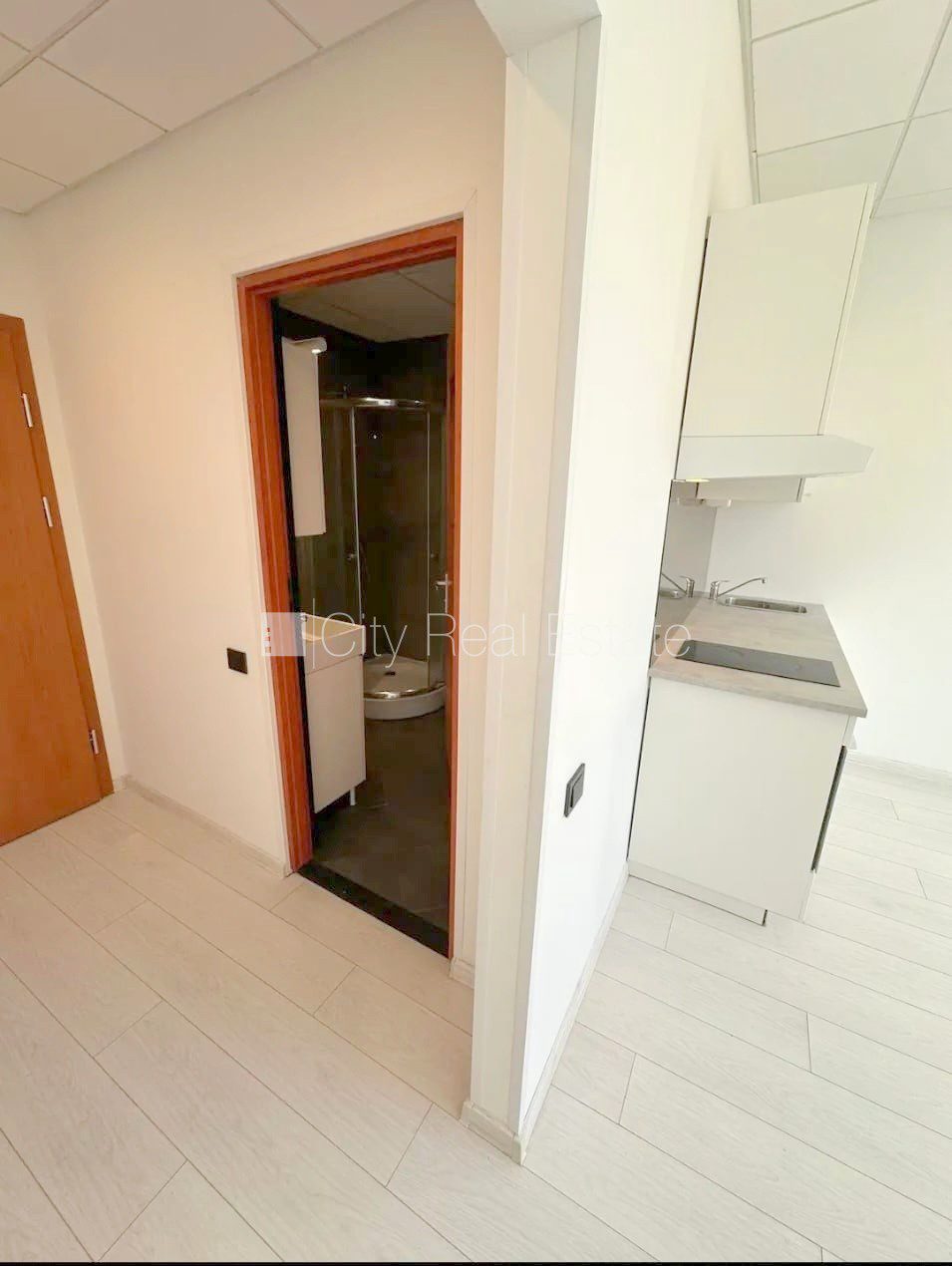 1-комнатная квартира в Рига, Центр, 24 м², аренда, Фото 7 из 10