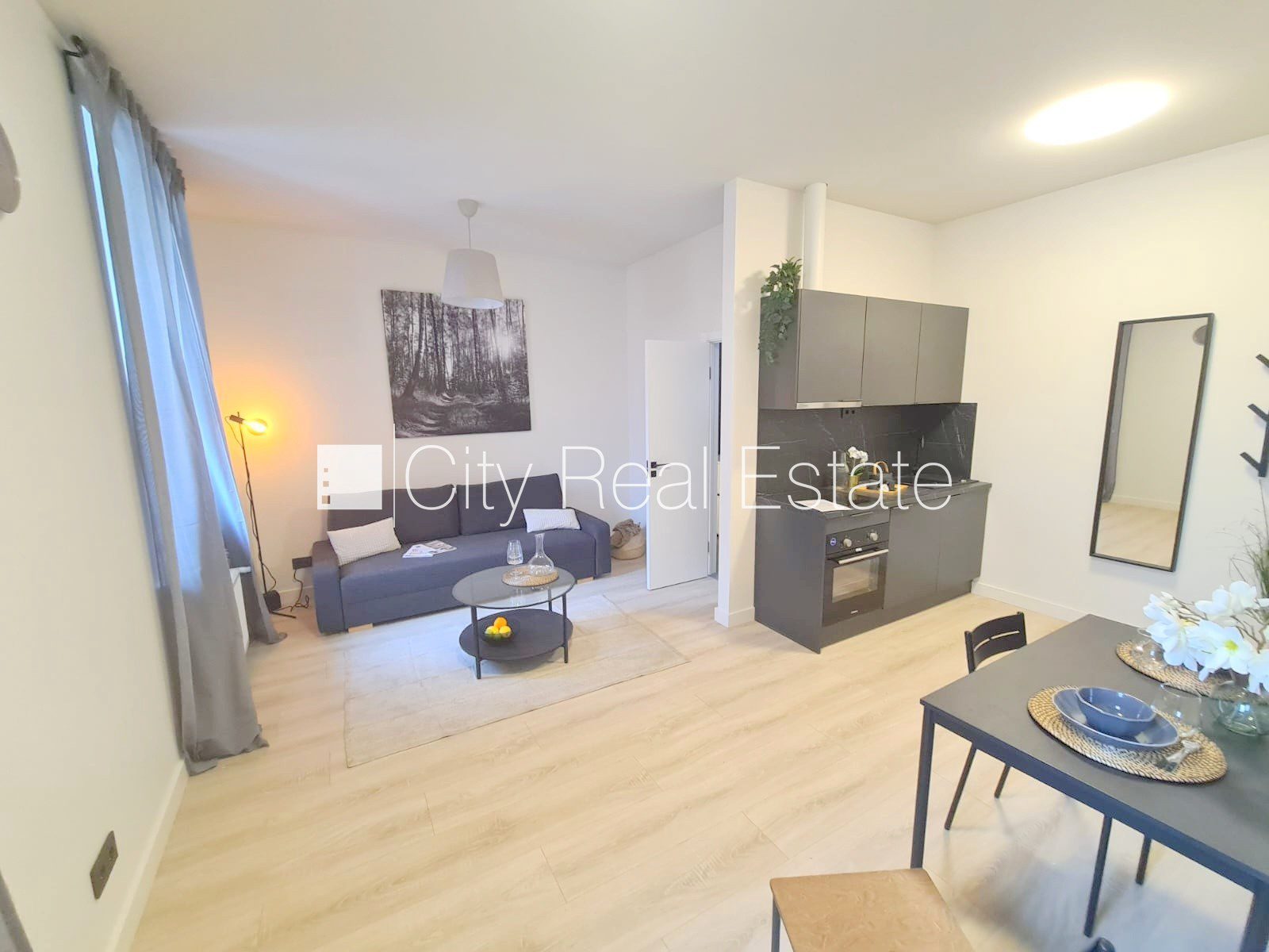 1-toaline korter Rīga, Centrs, 26 m², üür, Foto 4 / 10