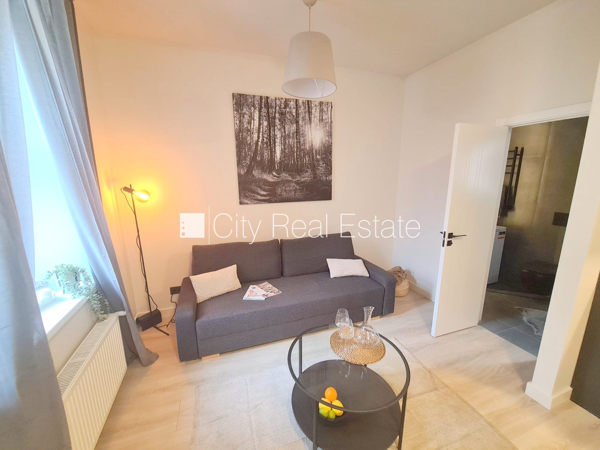 1-toaline korter Rīga, Centrs, 26 m², üür, Foto 7 / 10