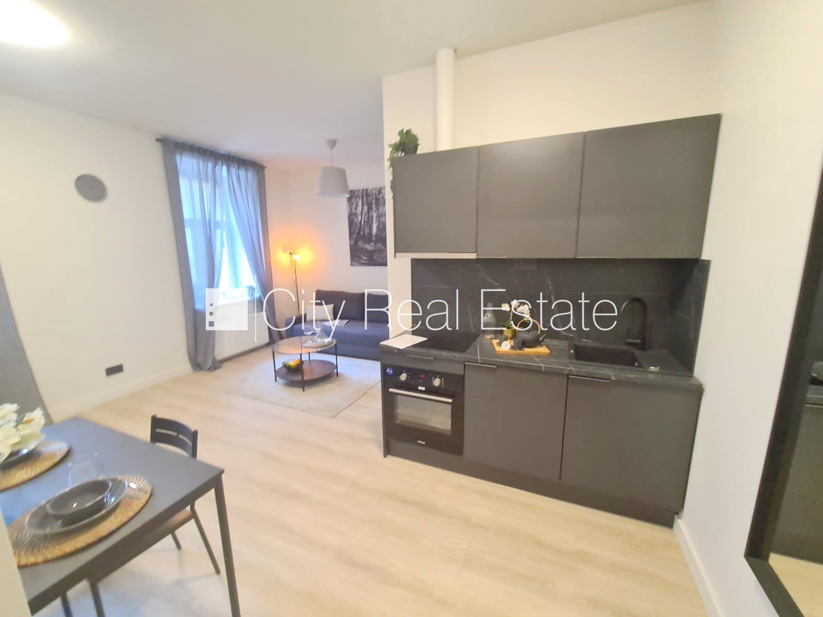 1-toaline korter Rīga, Centrs, 26 m², üür, Foto 9 / 10