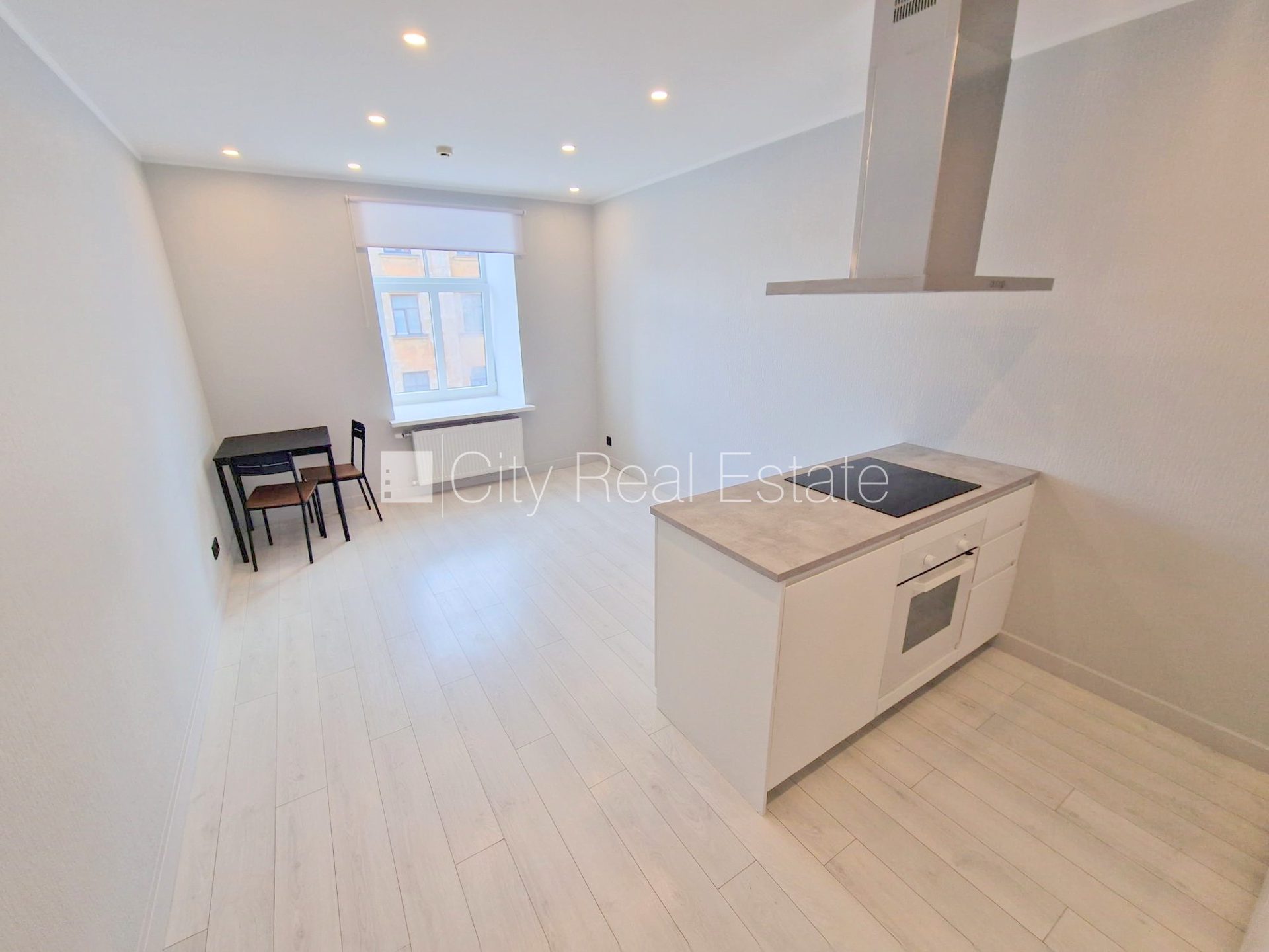 2 istabu dzīvoklis Rīga, Centrs, 30 m², izīrē, Foto 1 no 10