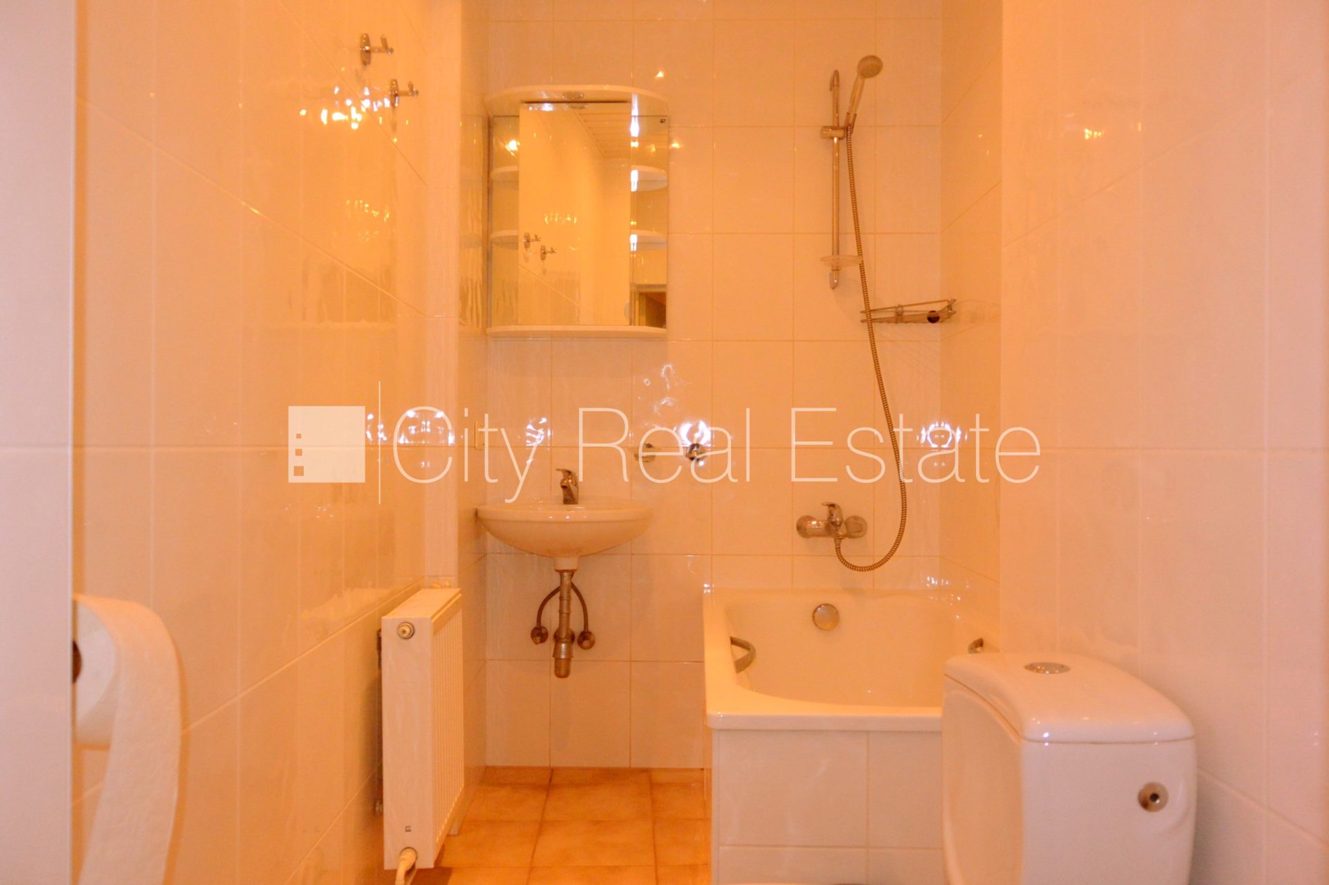 1-toaline korter Rīga, Centrs, 33 m², üür, Foto 5 / 10