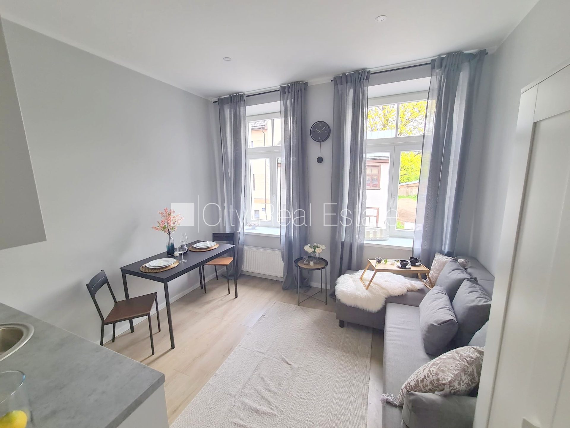 1 istabu dzīvoklis Rīga, Centrs, 22 m², izīrē, Foto 1 no 10