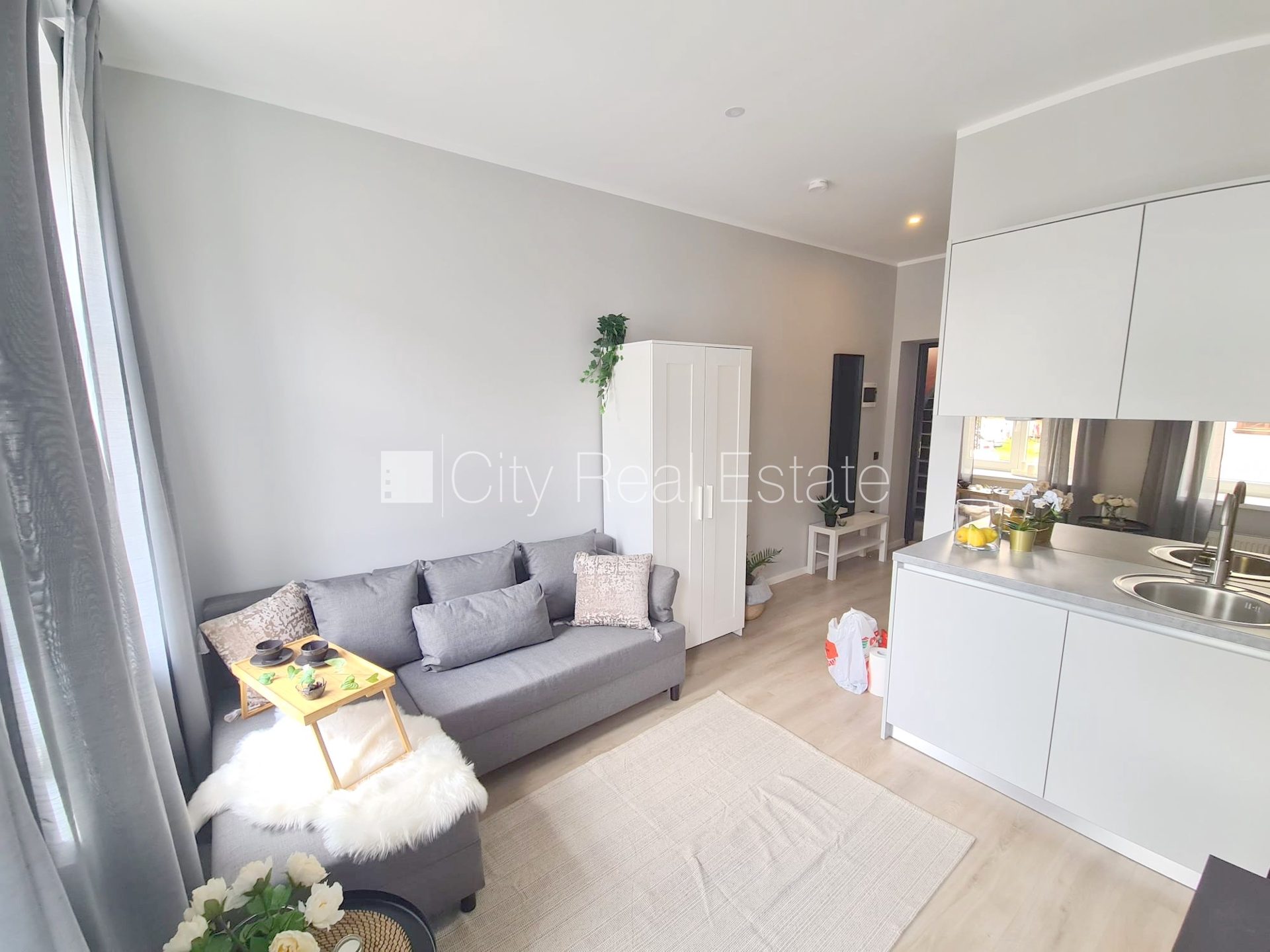 1 istabu dzīvoklis Rīga, Centrs, 22 m², izīrē, Foto 6 no 10
