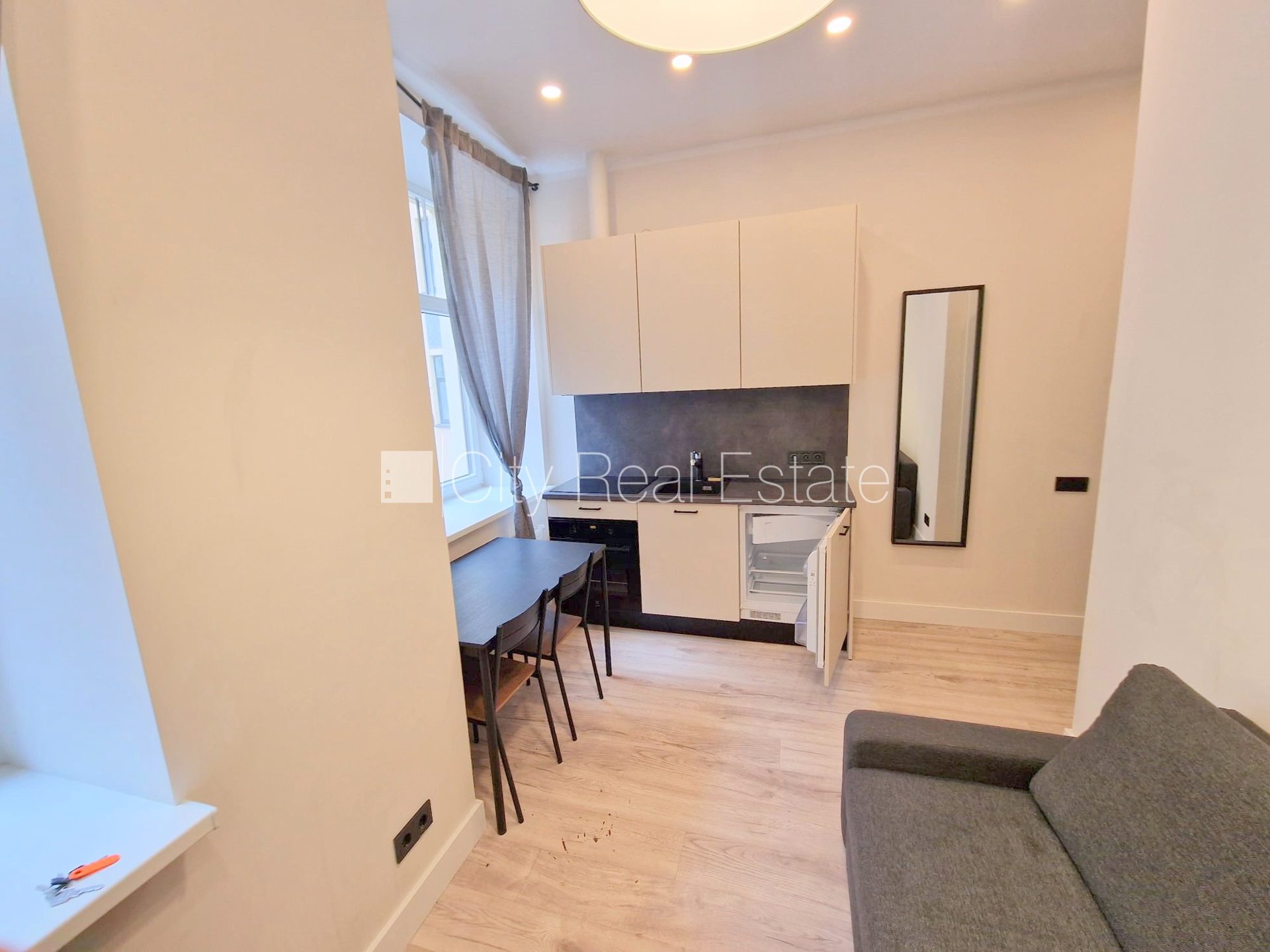1 istabu dzīvoklis Rīga, Centrs, 18 m², izīrē, Foto 1 no 10
