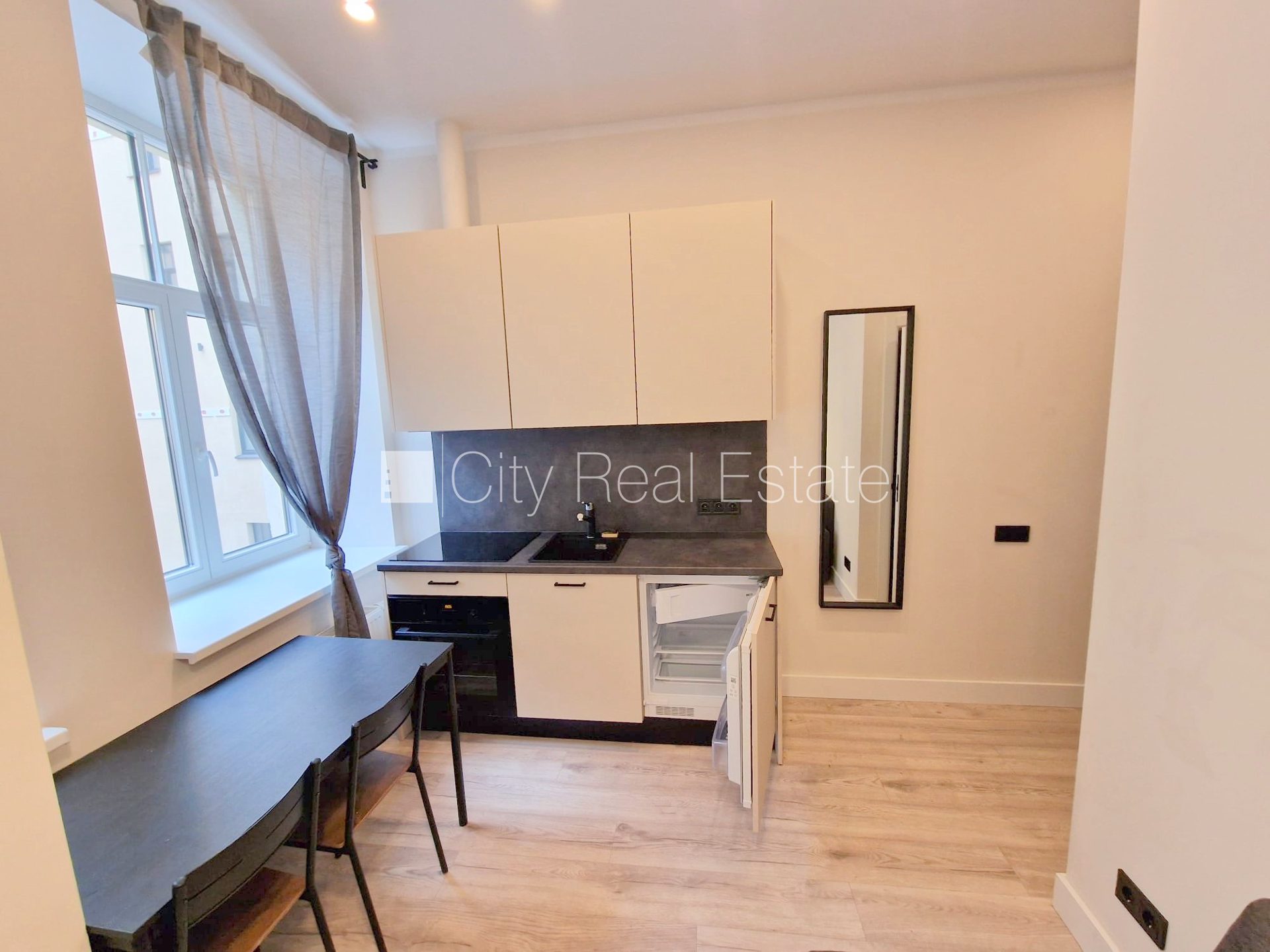 1 istabu dzīvoklis Rīga, Centrs, 18 m², izīrē, Foto 2 no 10
