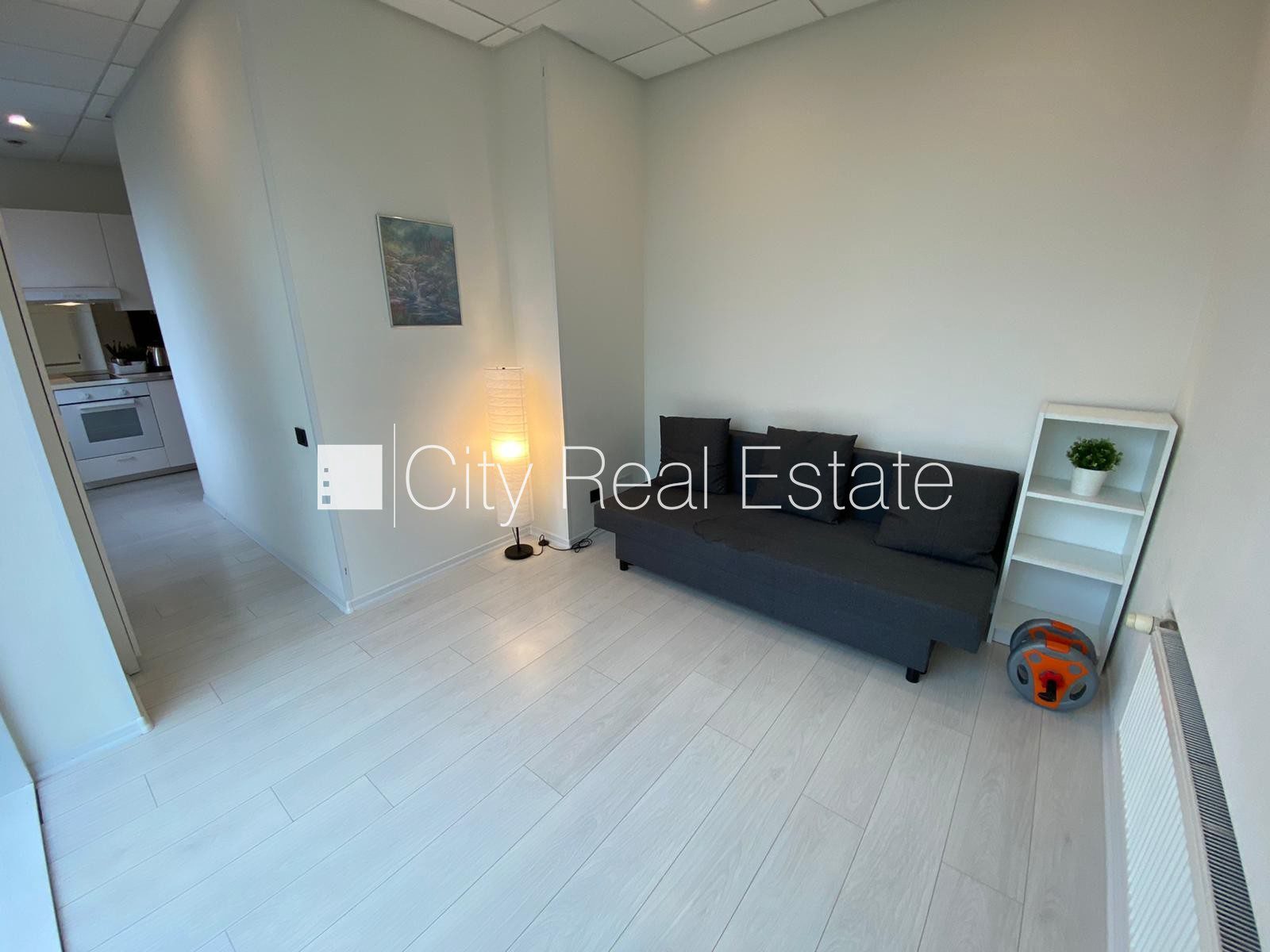1-toaline korter Rīga, Centrs, 26 m², üür, Foto 3 / 10