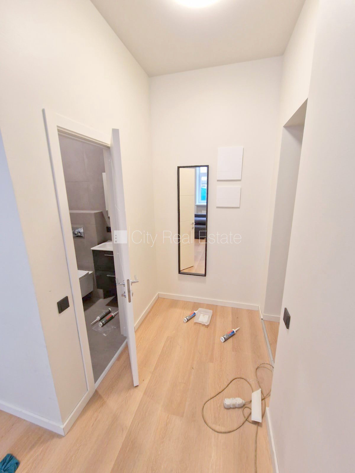 1-комнатная квартира в Рига, Центр, 25 м², аренда, Фото 9 из 10