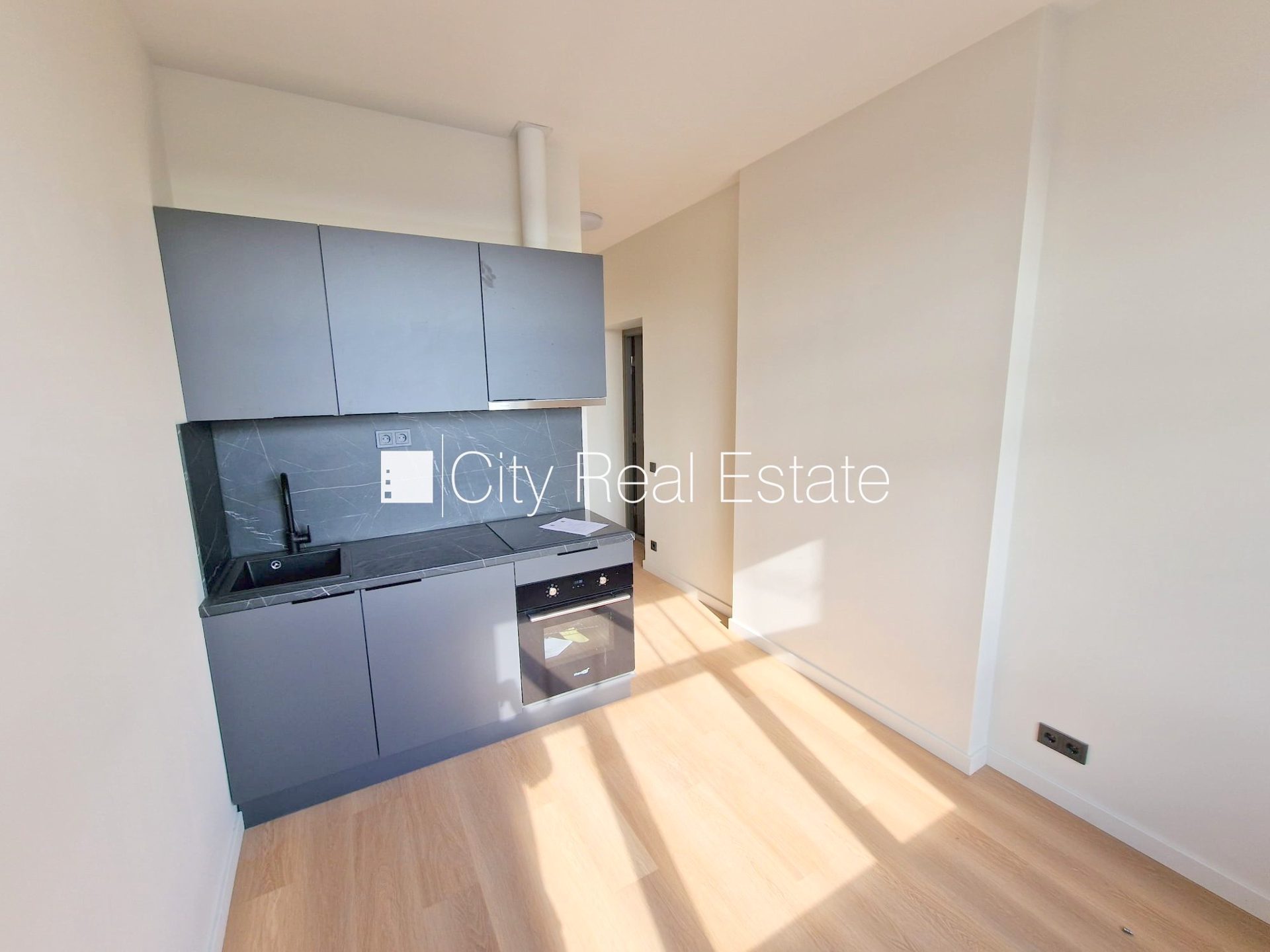 1 istabu dzīvoklis Rīga, Centrs, 15 m², izīrē, Foto 1 no 10