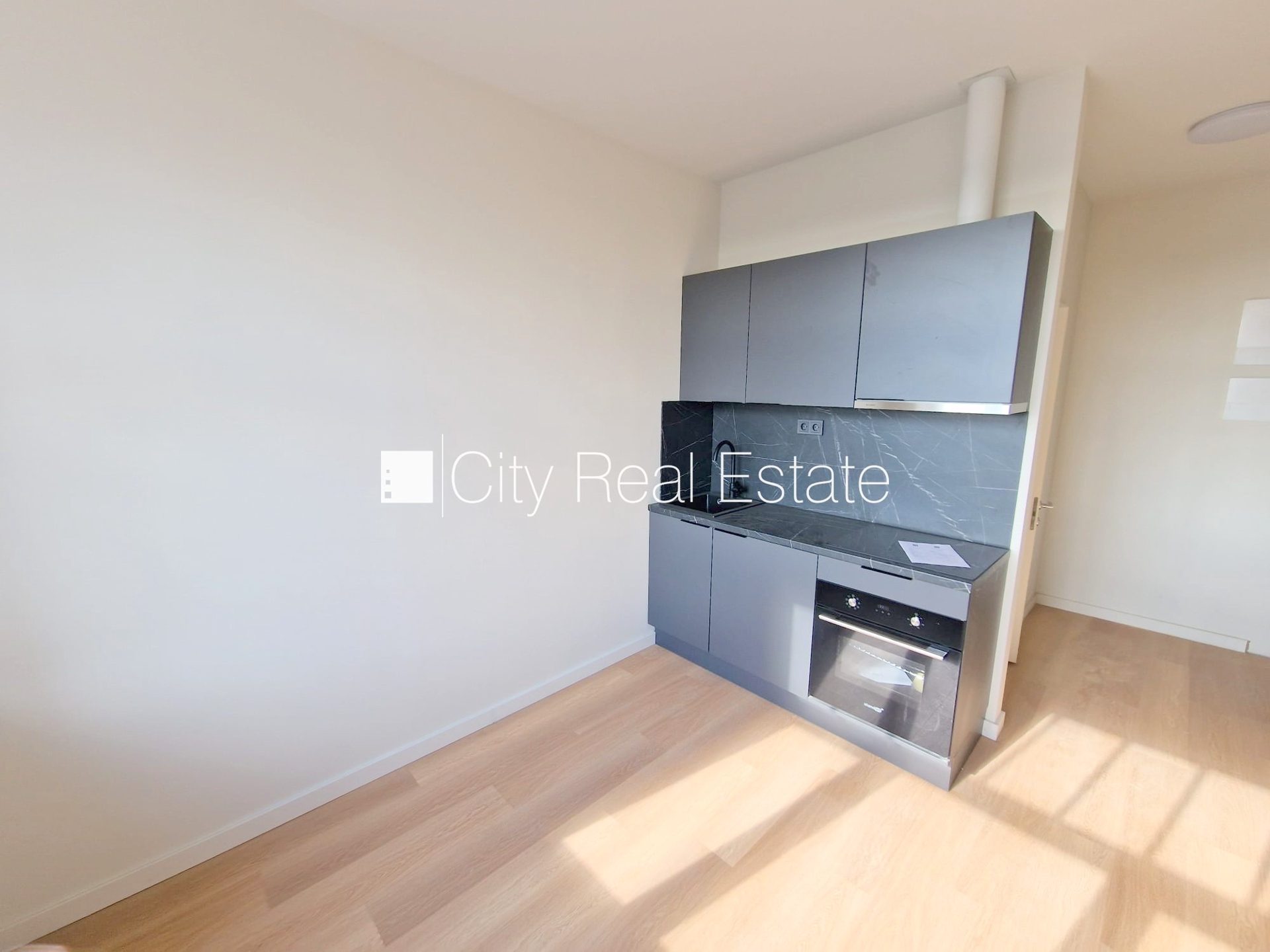 1 istabu dzīvoklis Rīga, Centrs, 15 m², izīrē, Foto 2 no 10