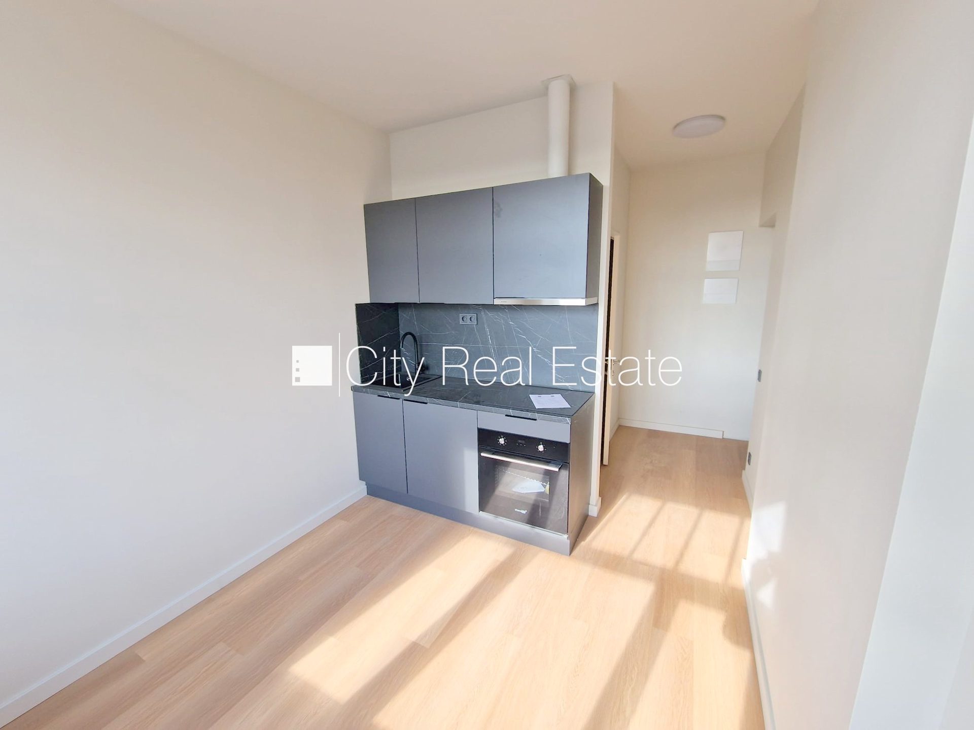 1 istabu dzīvoklis Rīga, Centrs, 15 m², izīrē, Foto 3 no 10