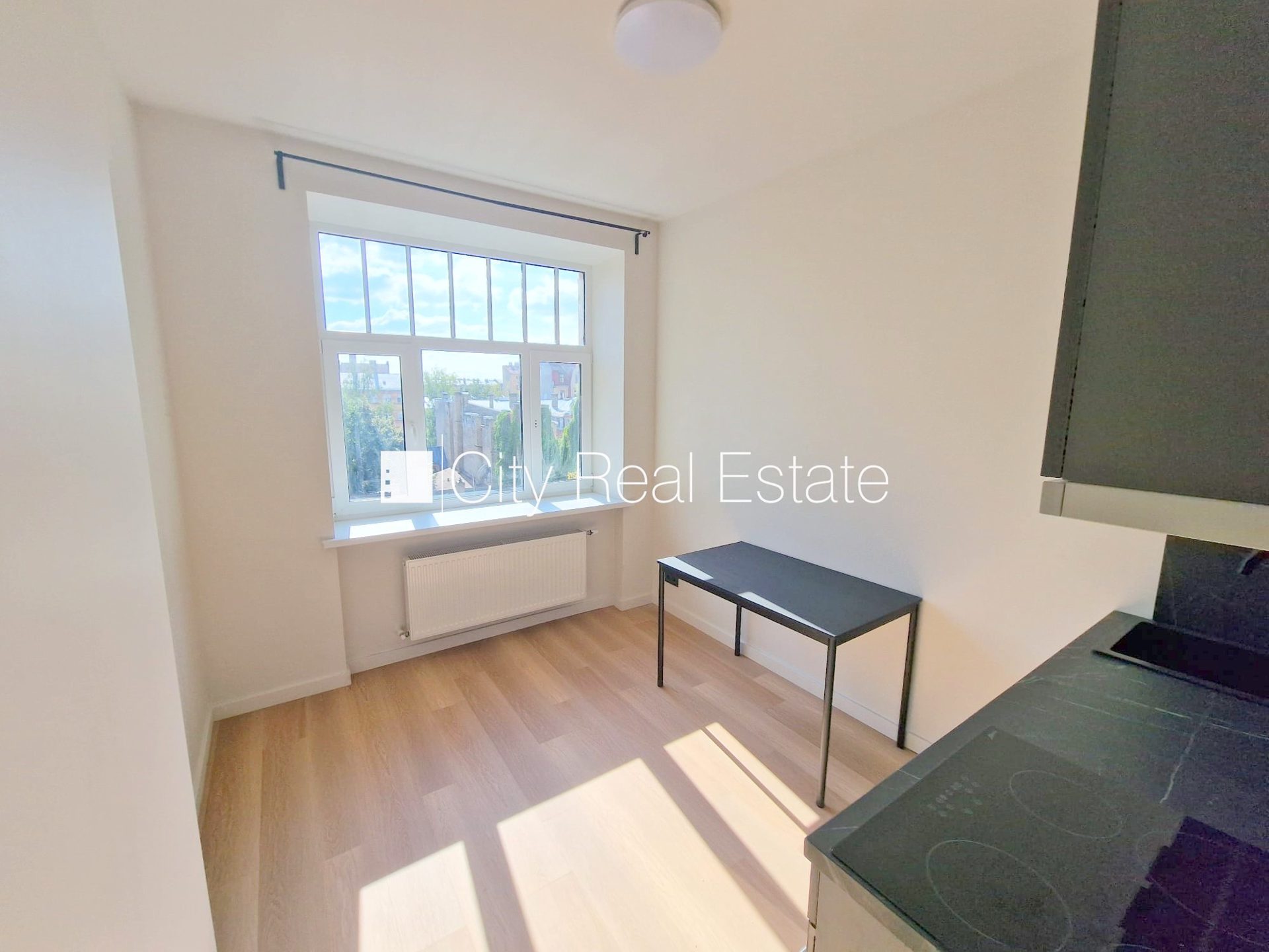 1 istabu dzīvoklis Rīga, Centrs, 15 m², izīrē, Foto 7 no 10