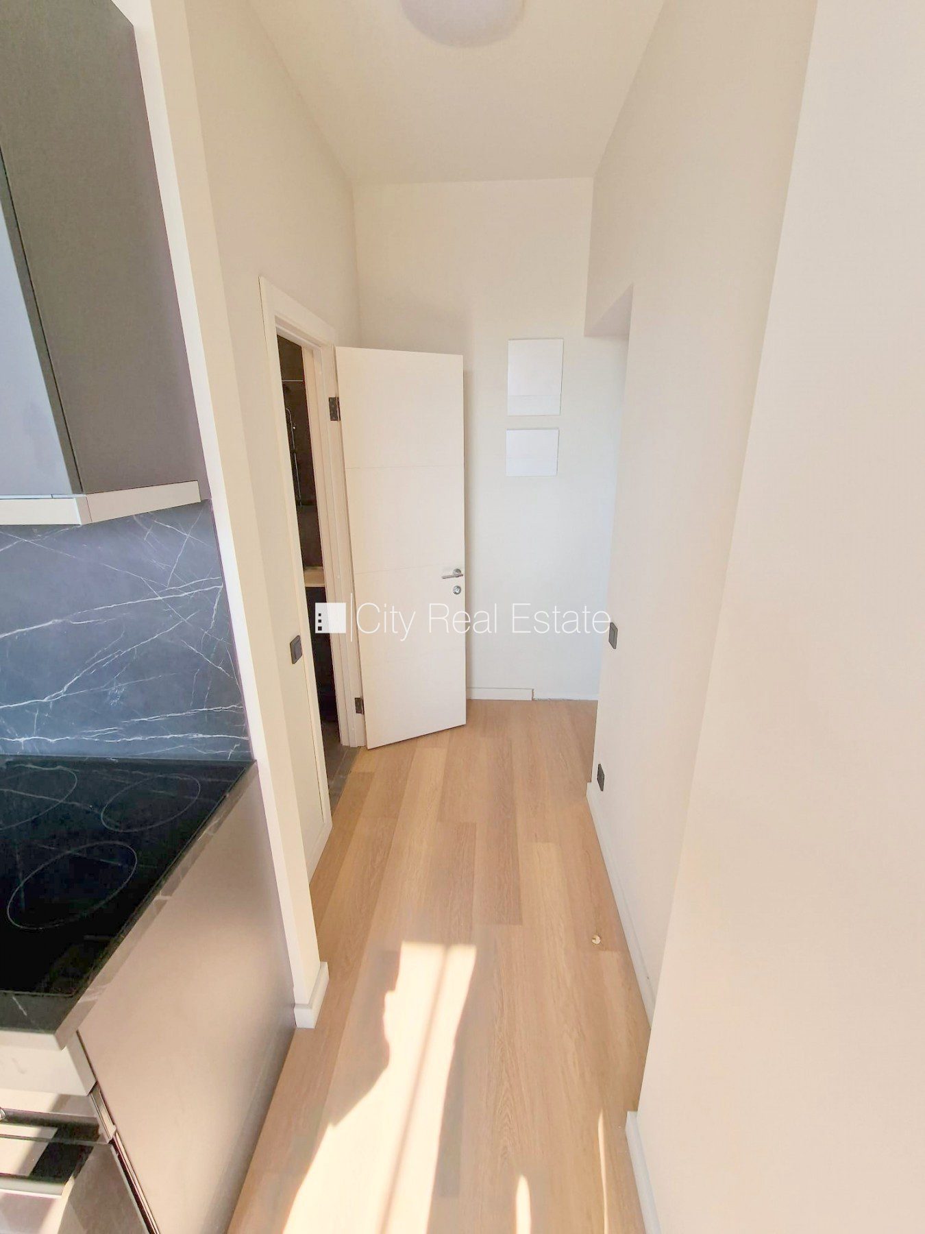 1 istabu dzīvoklis Rīga, Centrs, 15 m², izīrē, Foto 8 no 10