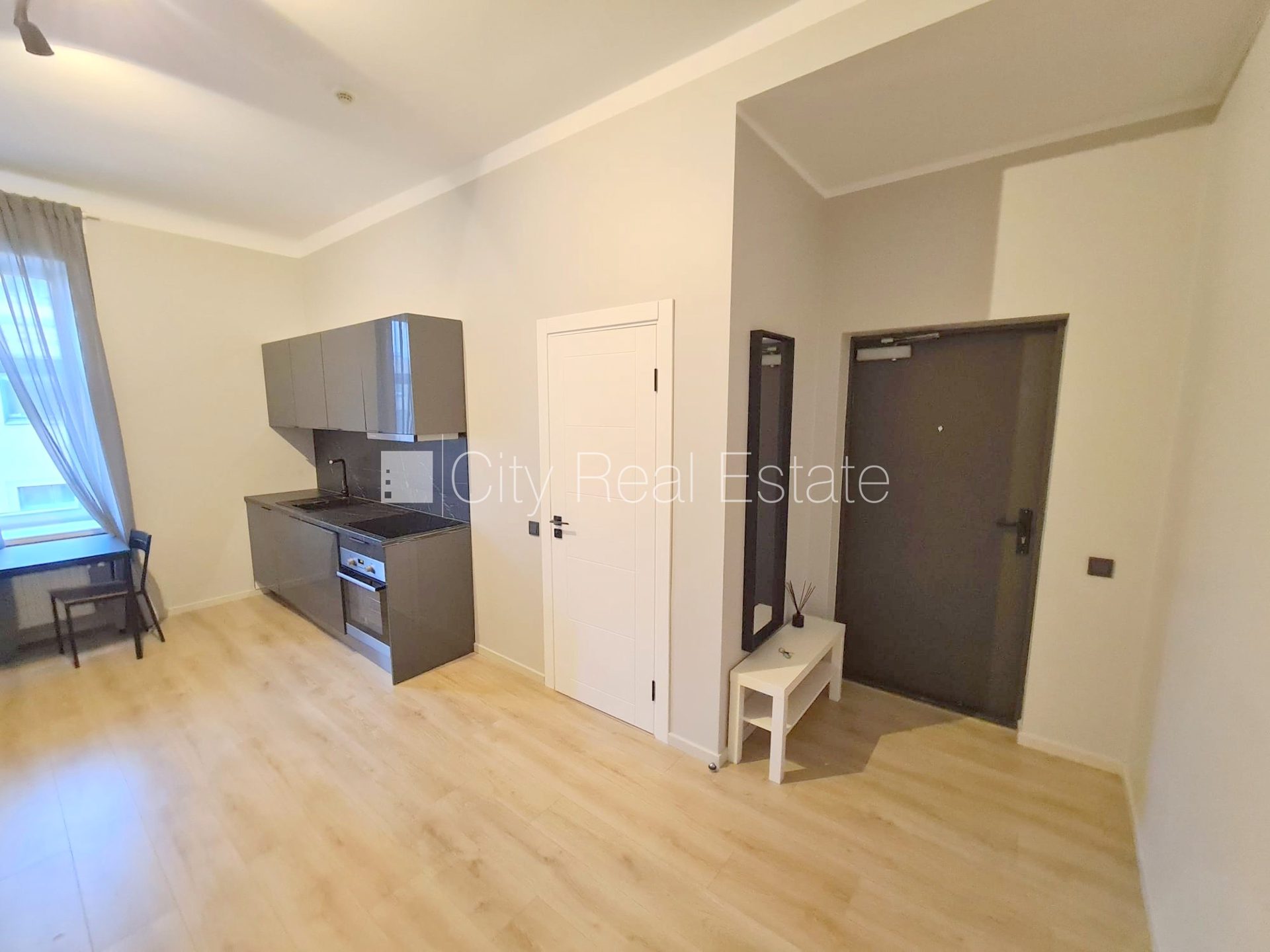 1 istabu dzīvoklis Rīga, Centrs, 24 m², izīrē, Foto 3 no 10