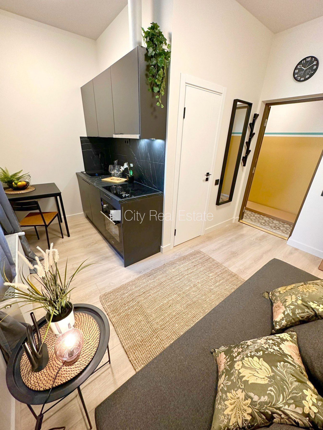 1 istabu dzīvoklis Rīga, Centrs, 15 m², izīrē, Foto 1 no 10