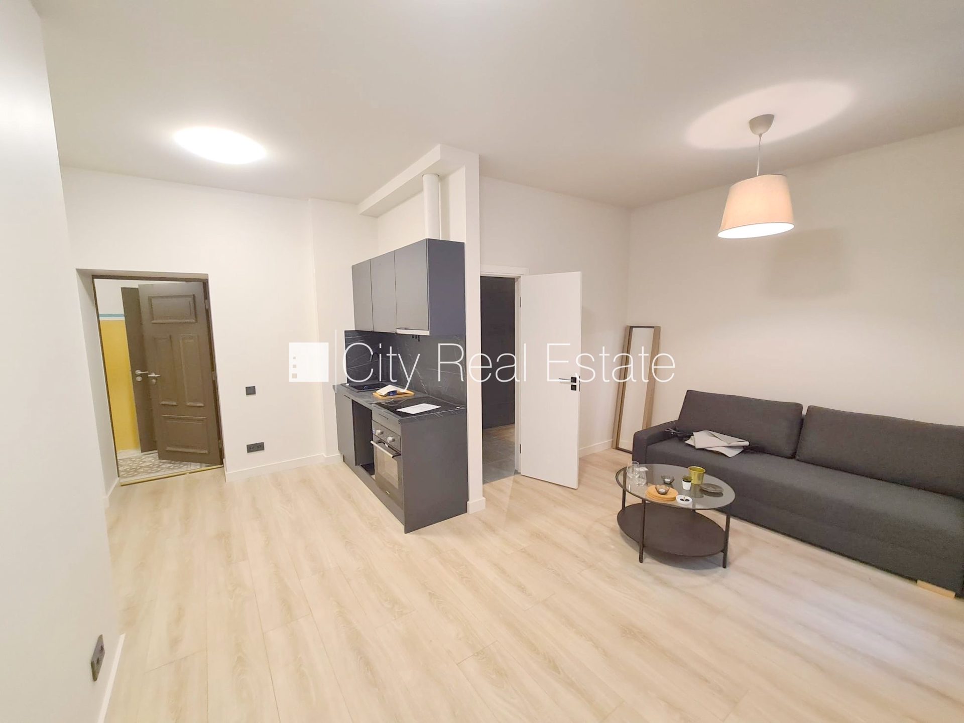 1 istabu dzīvoklis Rīga, Centrs, 25 m², izīrē, Foto 1 no 10