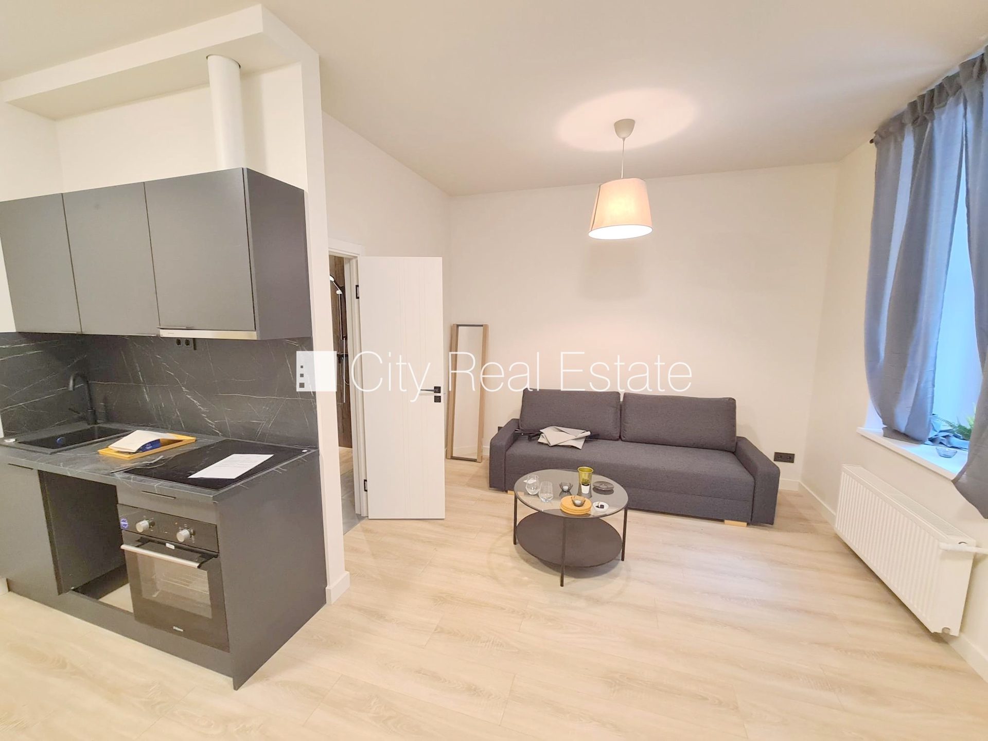 1 istabu dzīvoklis Rīga, Centrs, 25 m², izīrē, Foto 4 no 10