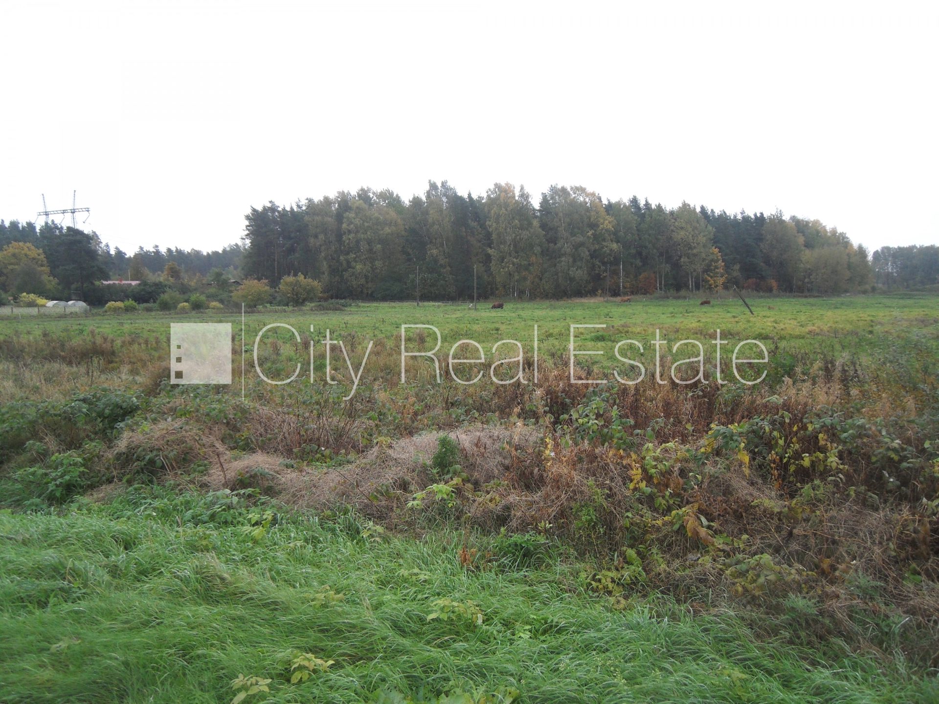 Land plot for sale in Ķekava, 17000 m², Photo 2 of 10