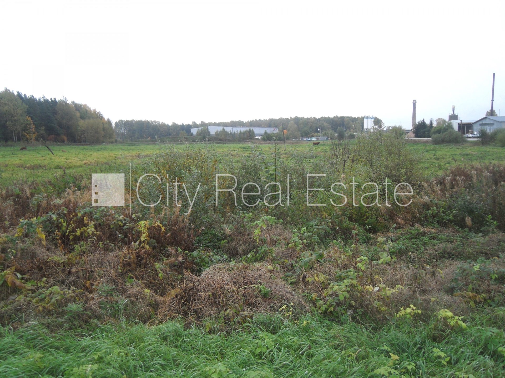 Land plot for sale in Ķekava, 17000 m², Photo 3 of 10