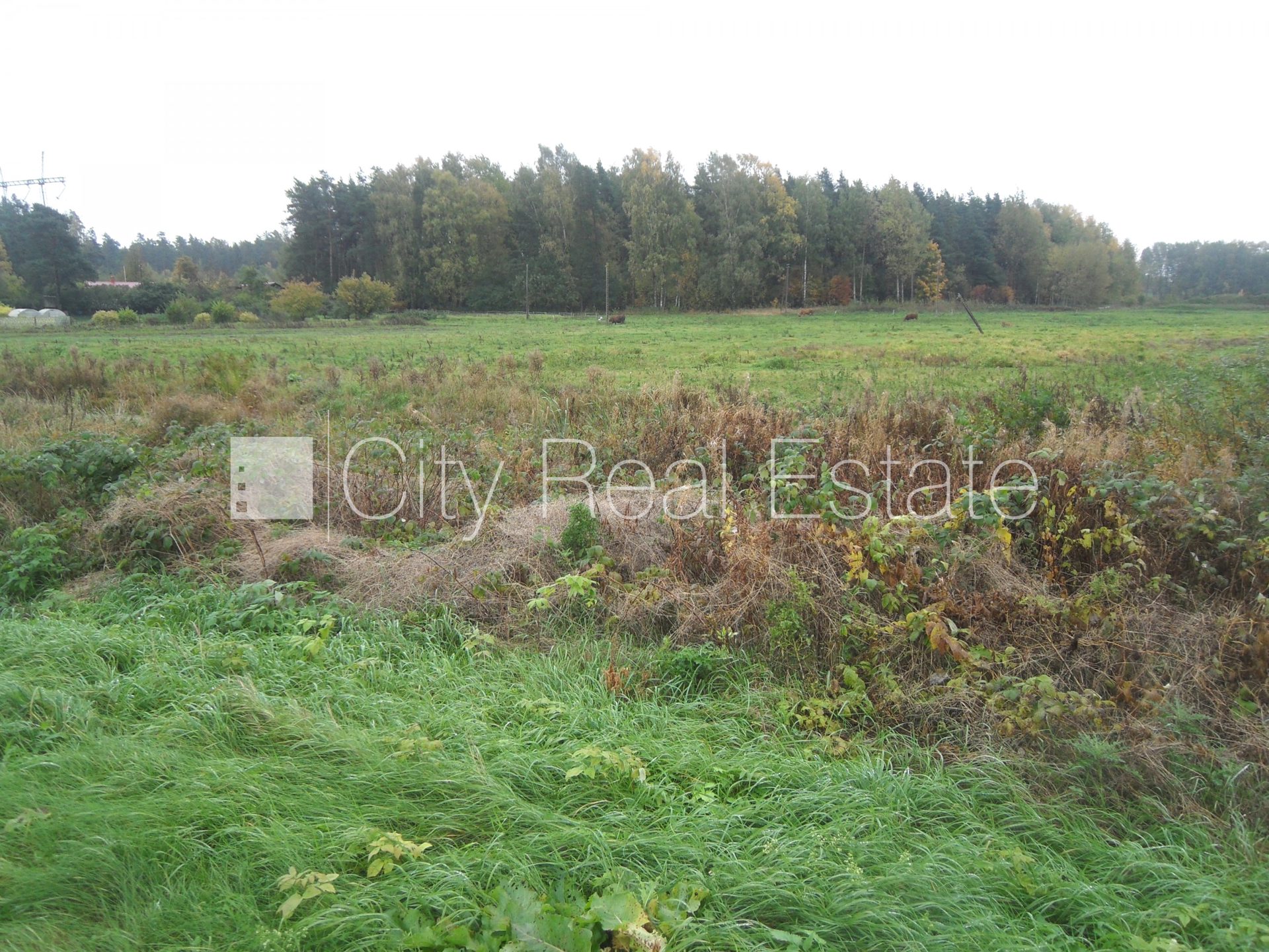 Land plot for sale in Ķekava, 17000 m², Photo 6 of 10