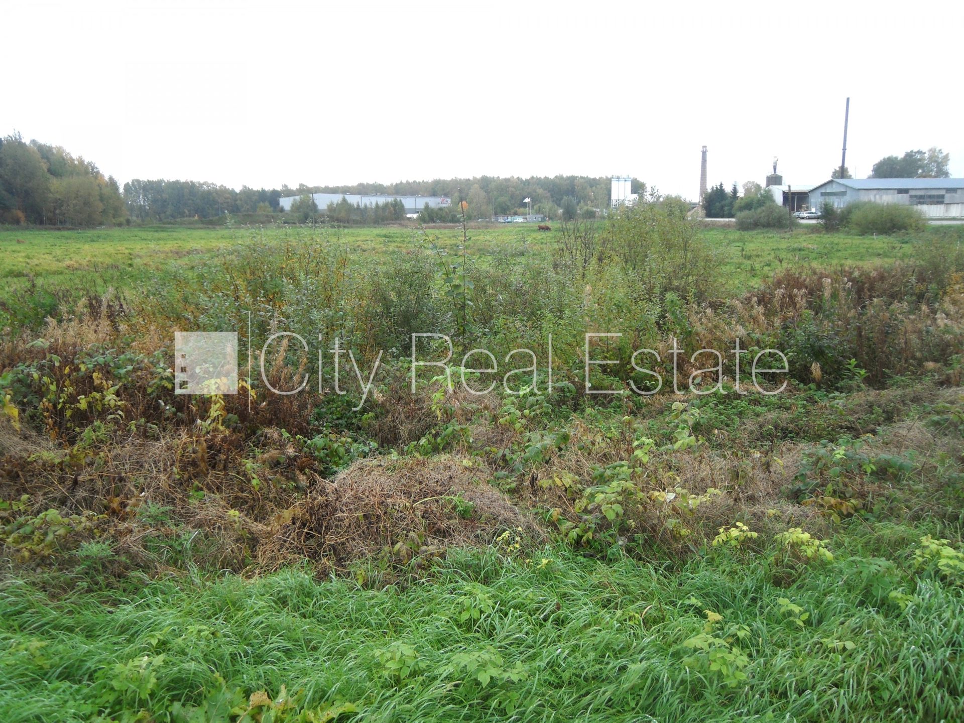 Land plot for sale in Ķekava, 17000 m², Photo 9 of 10