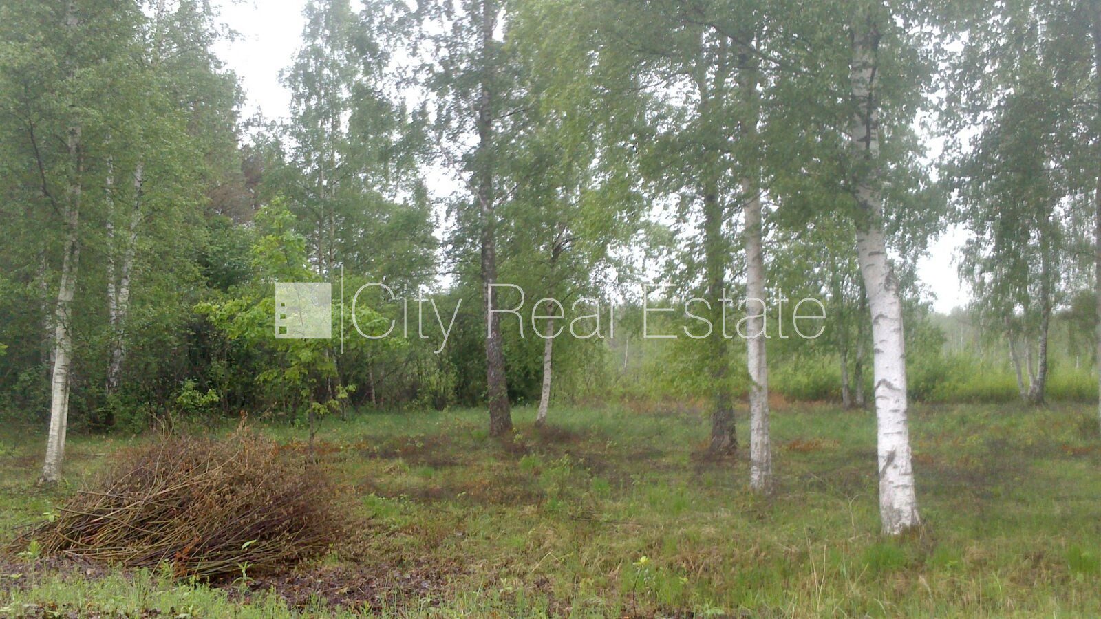 Maatükk Lapmežciema pagasts, 15000 m², müük, Foto 1 / 5