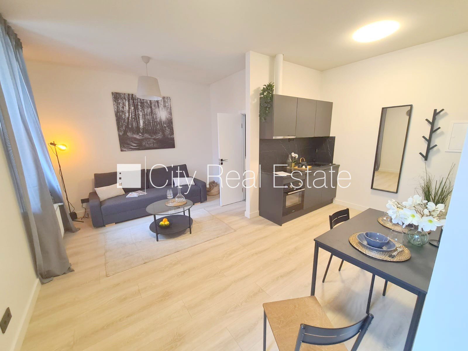 1-комнатная квартира в Рига, Центр, 26 м², аренда, Фото 1 из 10