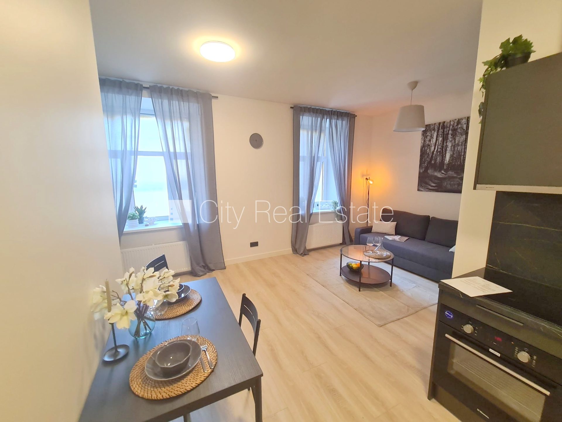 1 istabu dzīvoklis Rīga, Centrs, 26 m², izīrē, Foto 6 no 10