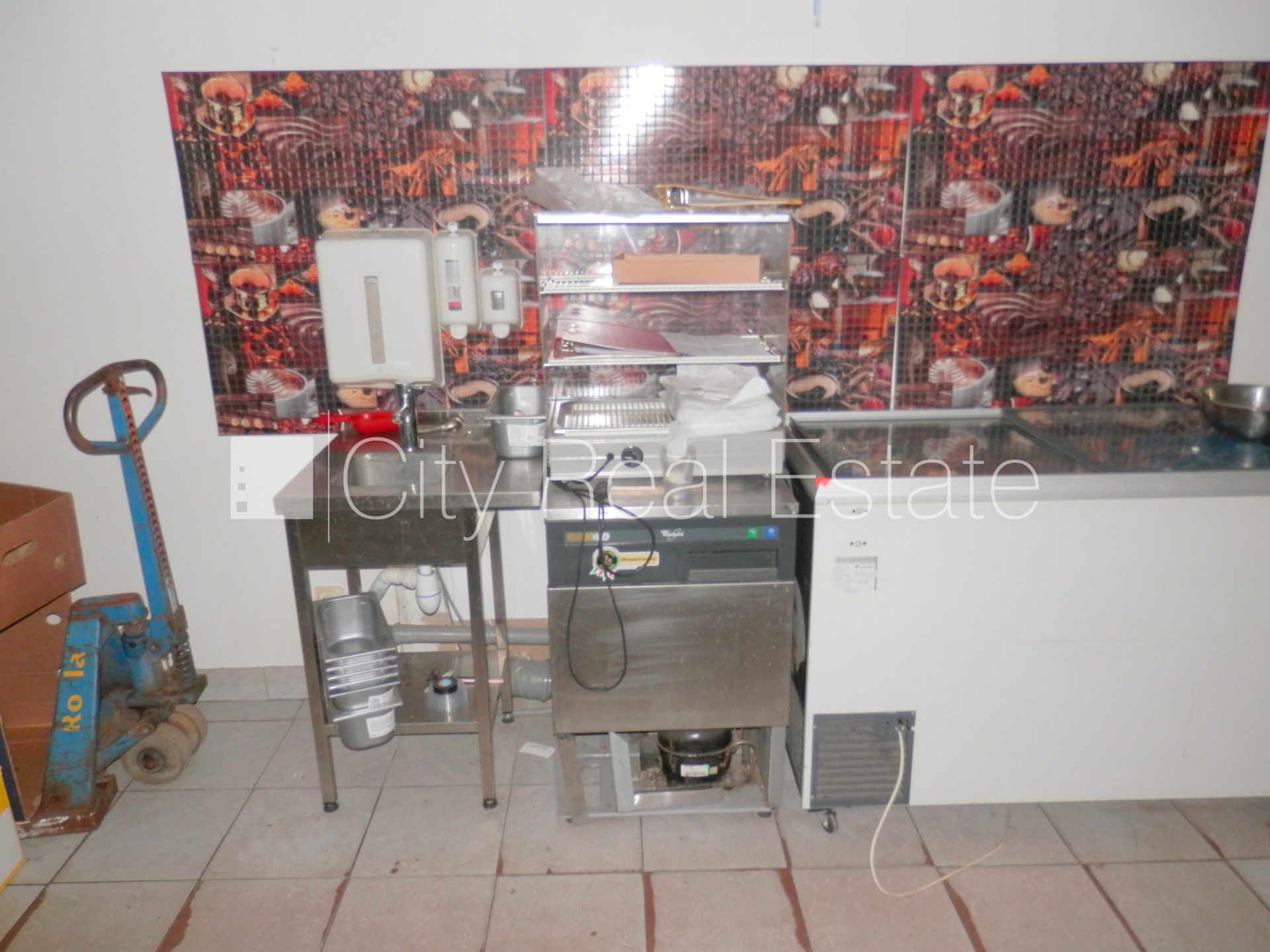 Komerctelpas Olaine, 120 m², pārdod, Foto 5 no 10
