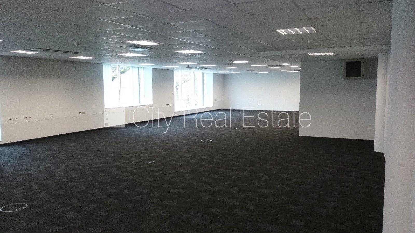 Komerctelpas Rīga, Centrs, 217 m², izīrē, Foto 3 no 10