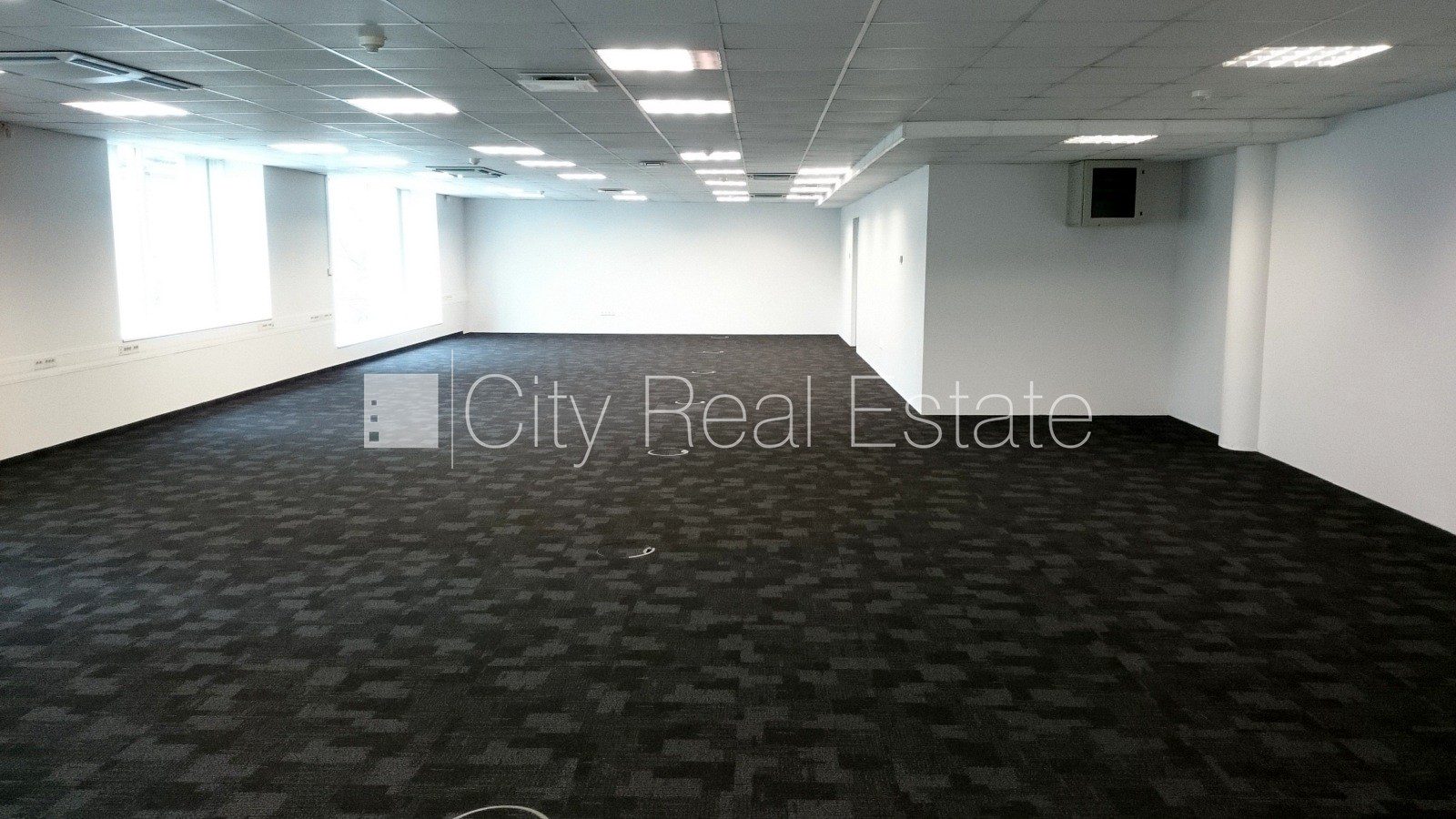 Komerctelpas Rīga, Centrs, 217 m², izīrē, Foto 6 no 10