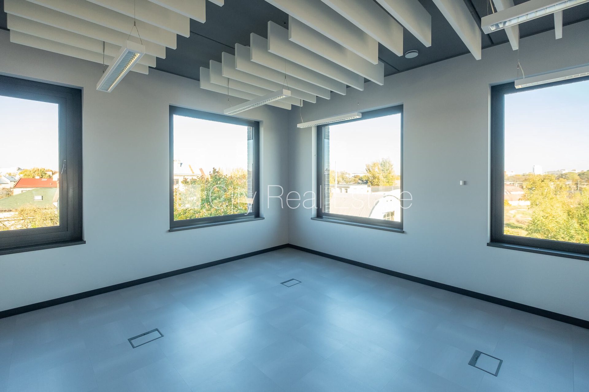 Komerctelpas Rīga, Centrs, 375 m², izīrē, Foto 4 no 10