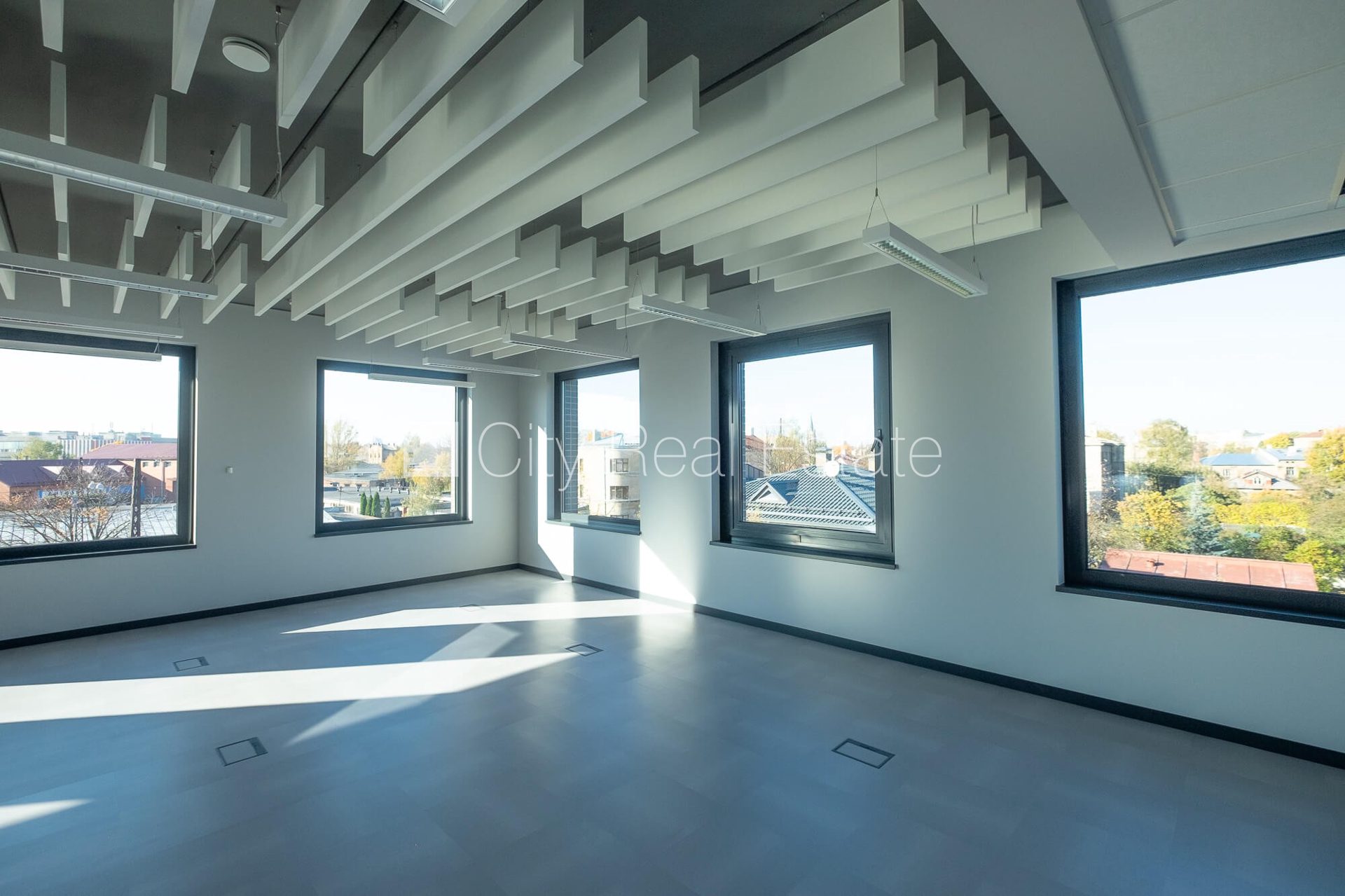 Komerctelpas Rīga, Centrs, 375 m², izīrē, Foto 6 no 10