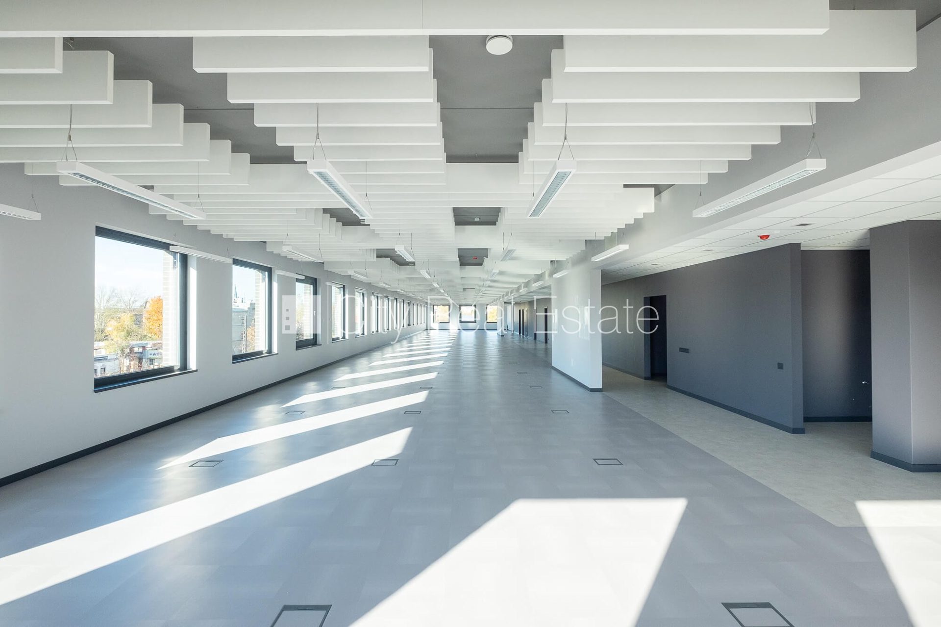 Komerctelpas Rīga, Centrs, 375 m², izīrē, Foto 7 no 10