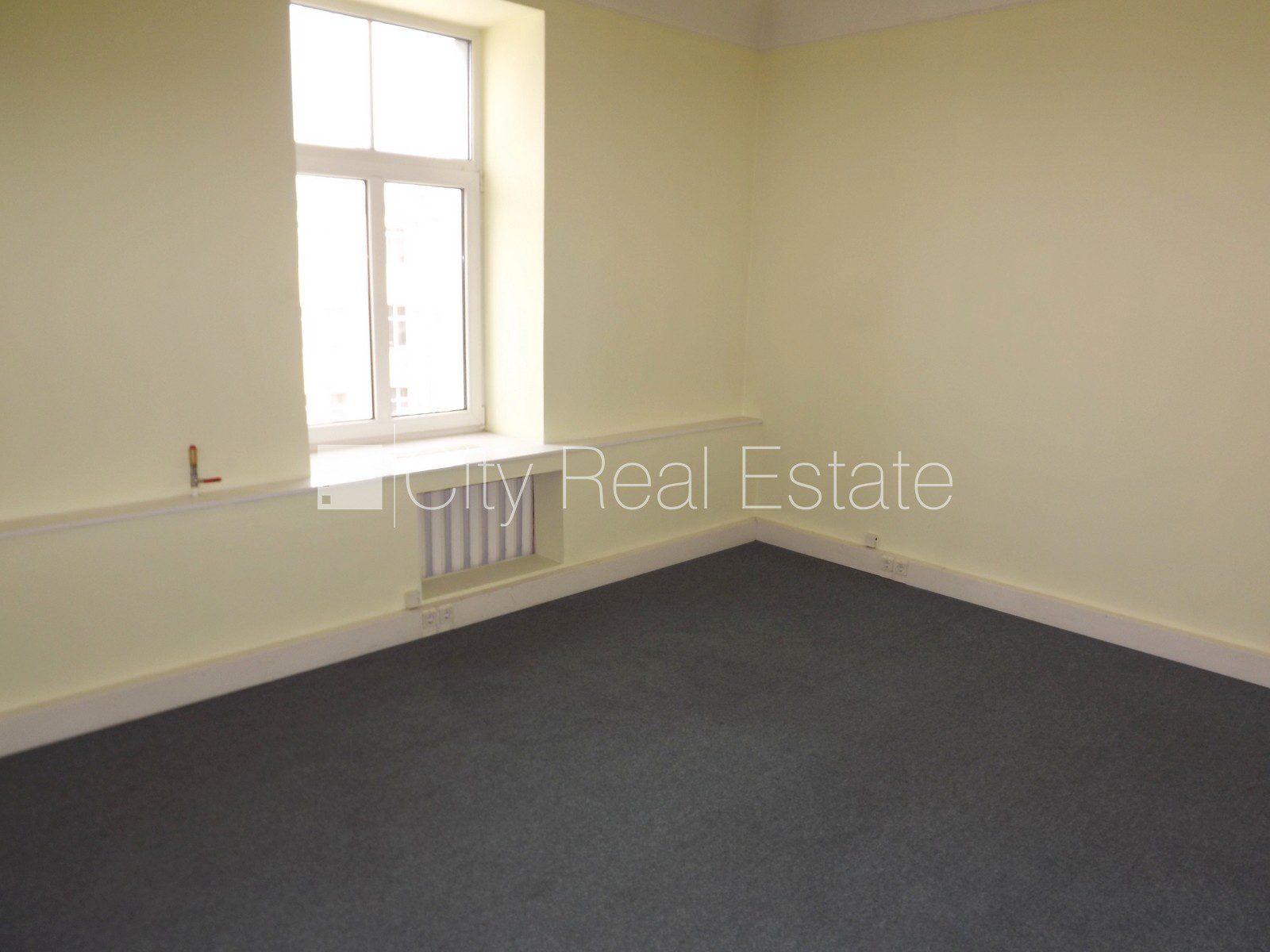 Komerctelpas Rīga, Centrs, 220 m², izīrē, Foto 3 no 10